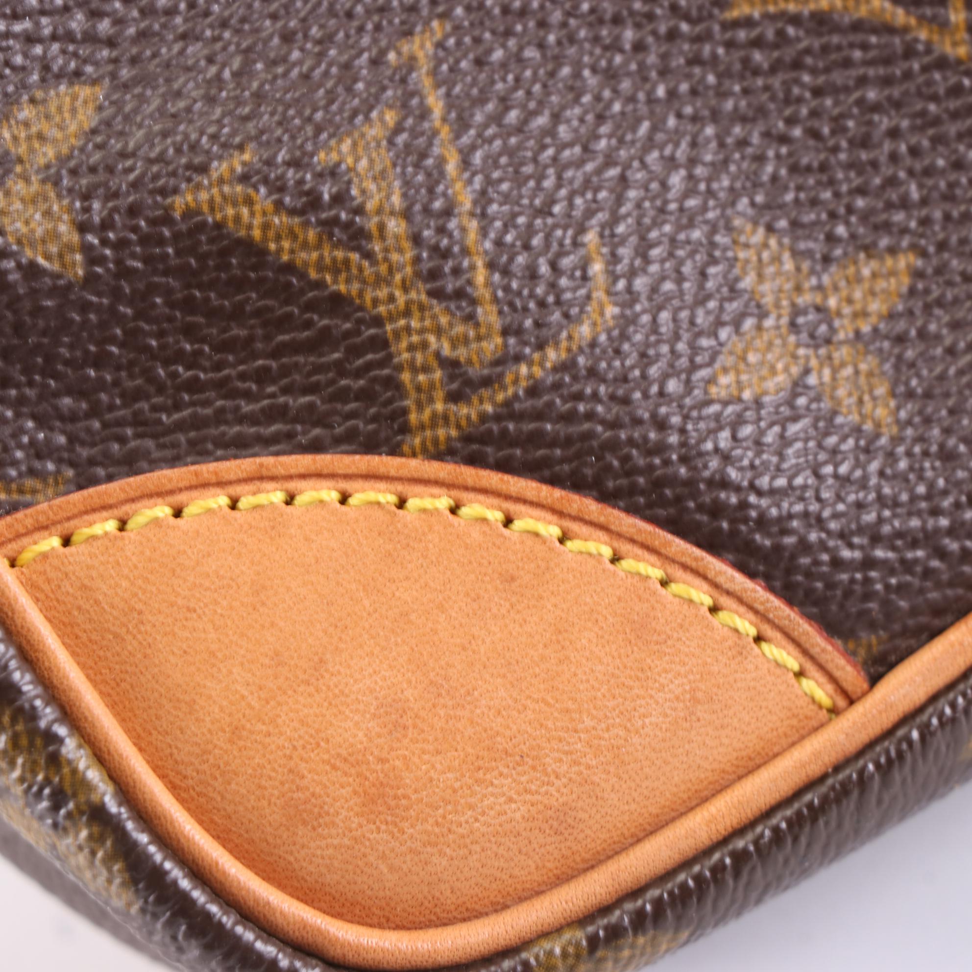 Louis Vuitton Danube Bag in Monogram Canvas and Leather