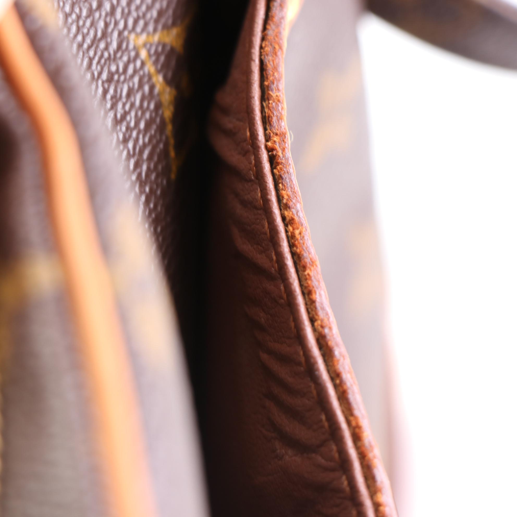 Louis Vuitton Danube Bag in Monogram Canvas and Leather