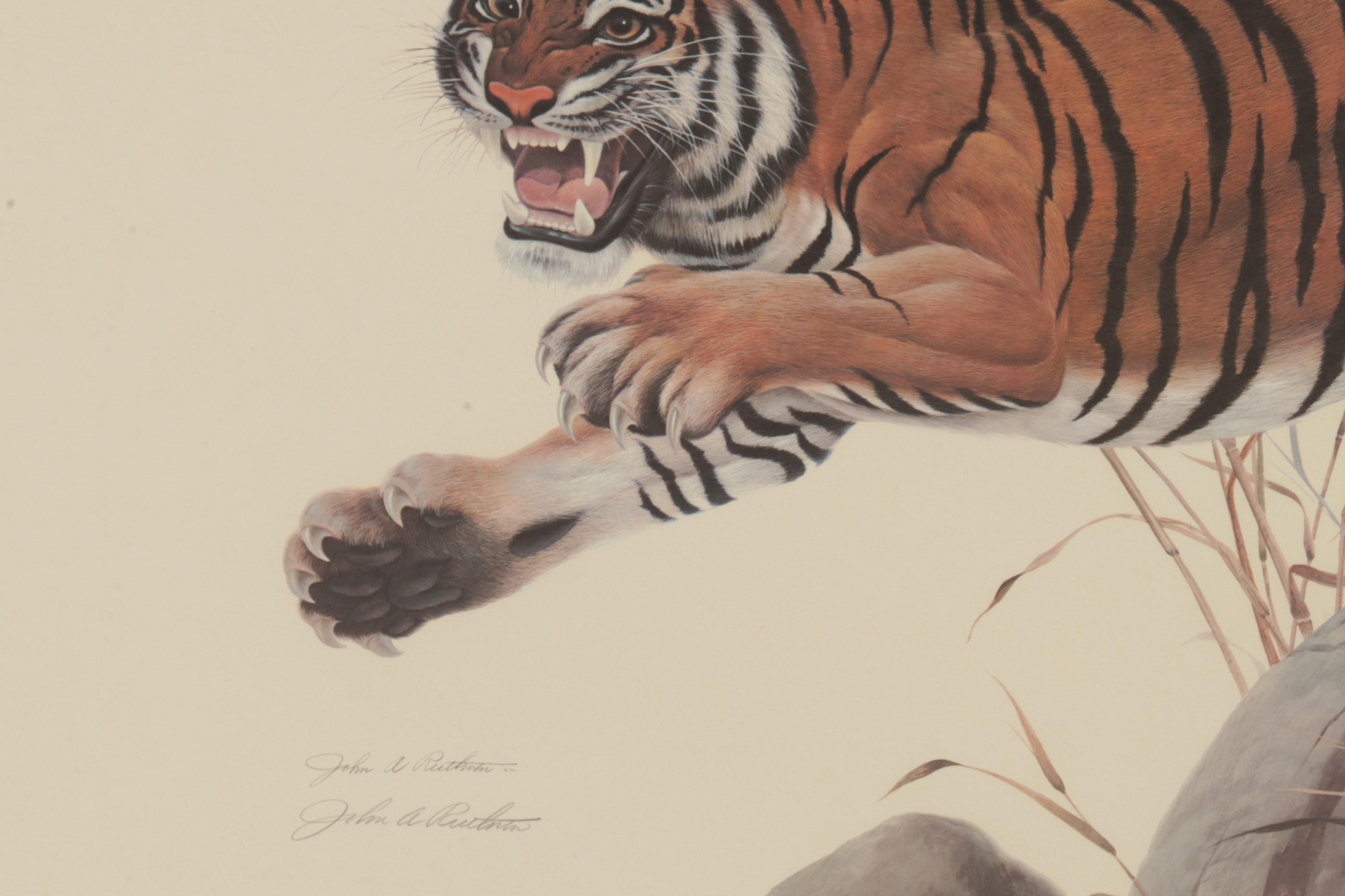 John Ruthven Offset Lithograph "Bengal Tiger," Circa 1968