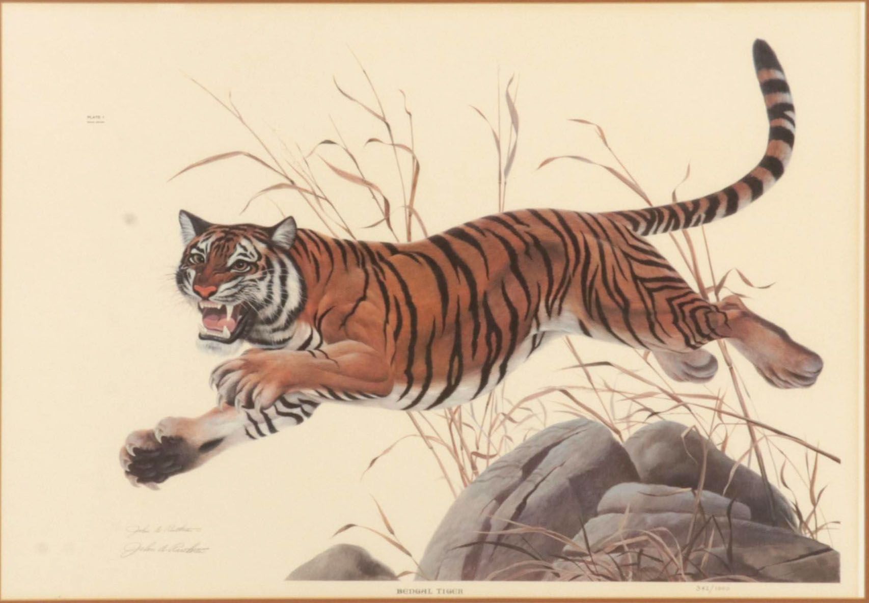 John Ruthven Offset Lithograph "Bengal Tiger," Circa 1968
