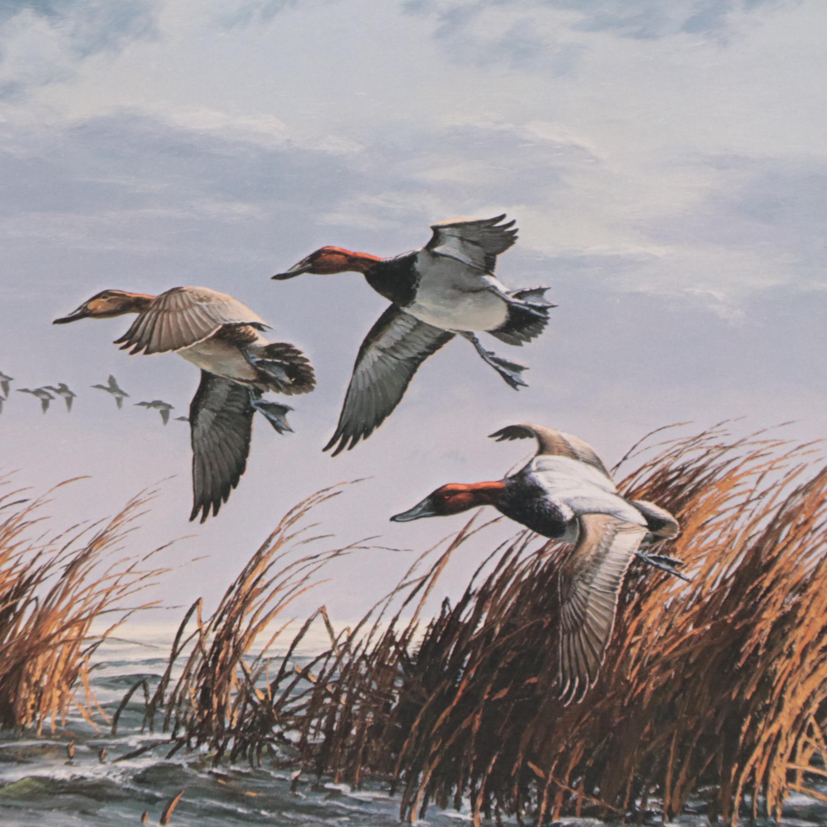 David A. Maass Offset Lithograph of Mallards in Flight
