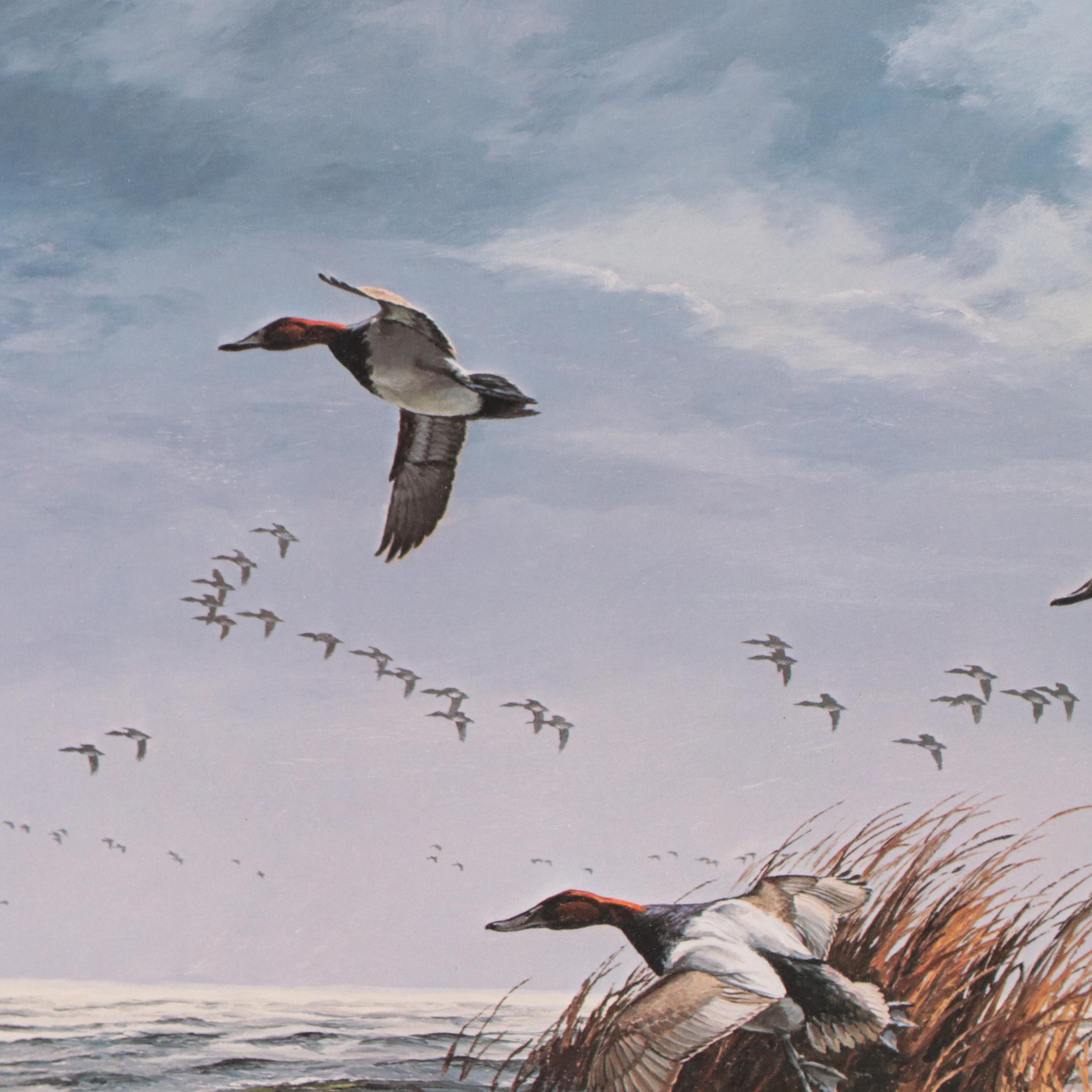 David A. Maass Offset Lithograph of Mallards in Flight