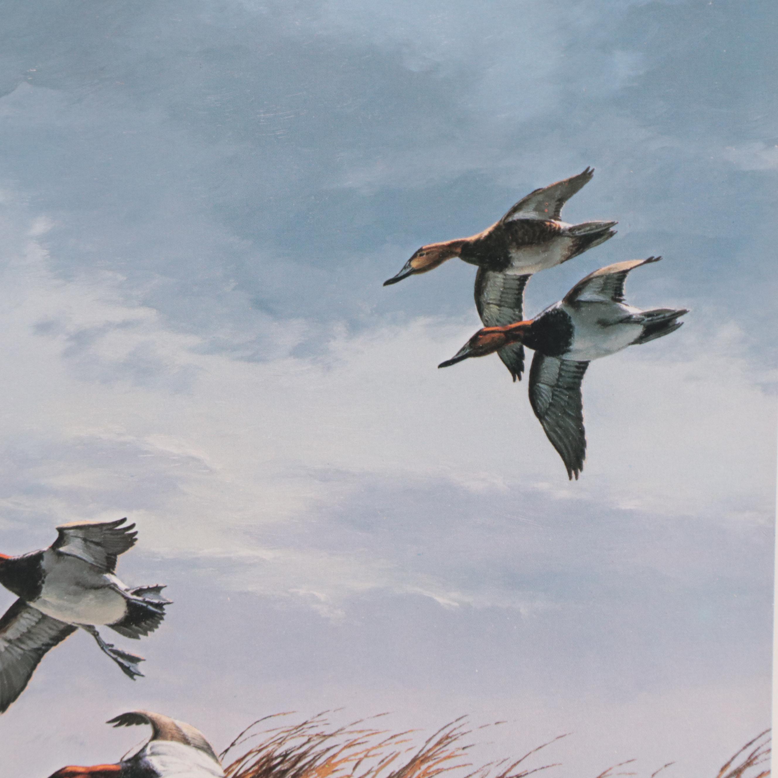 David A. Maass Offset Lithograph of Mallards in Flight
