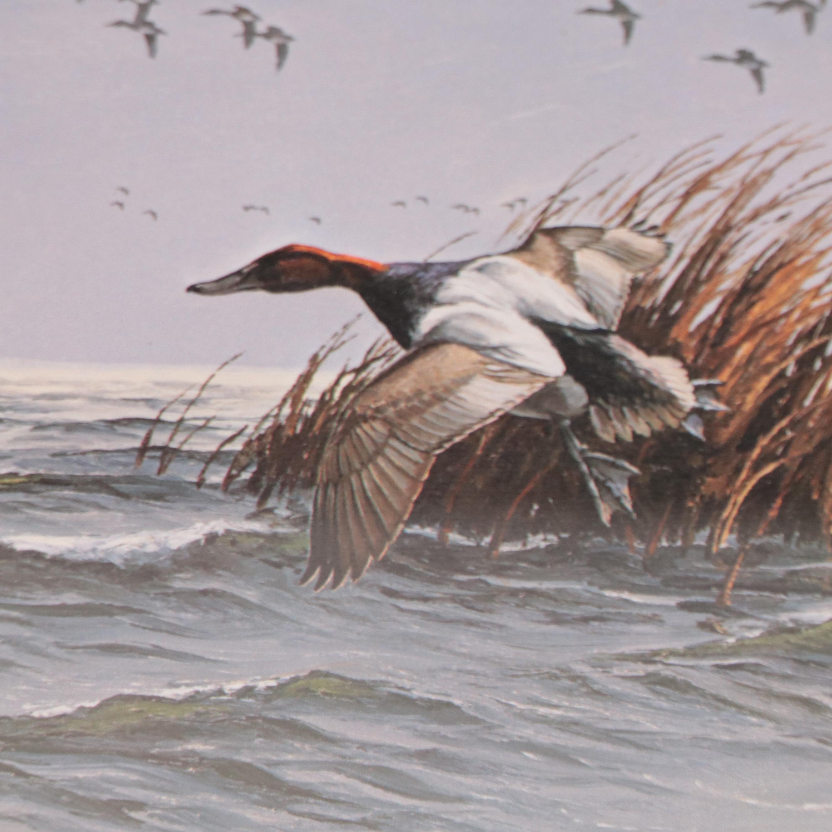 David A. Maass Offset Lithograph of Mallards in Flight