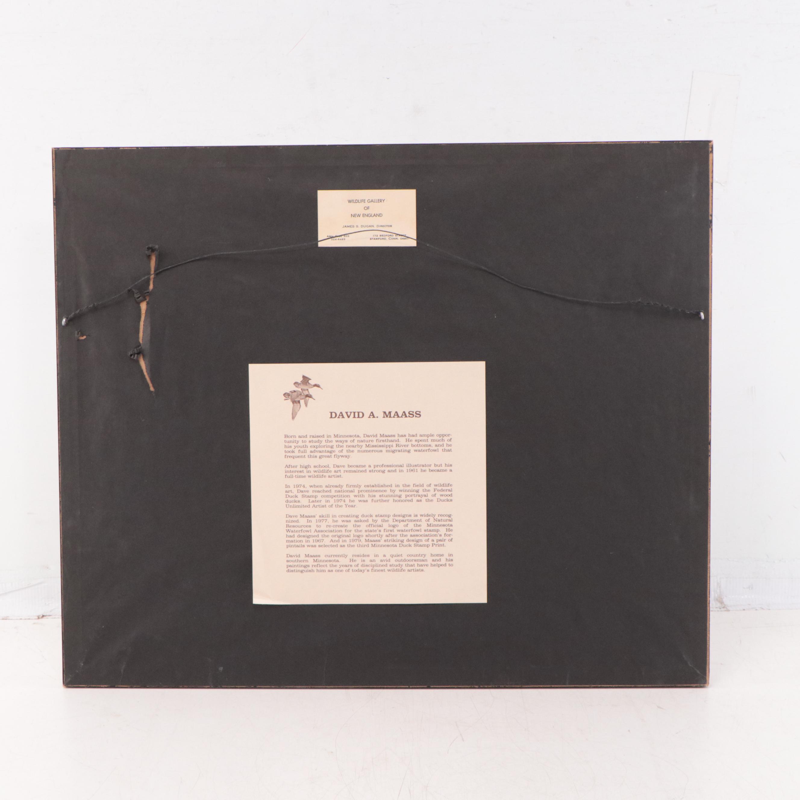 David A. Maass Offset Lithograph of Mallards in Flight