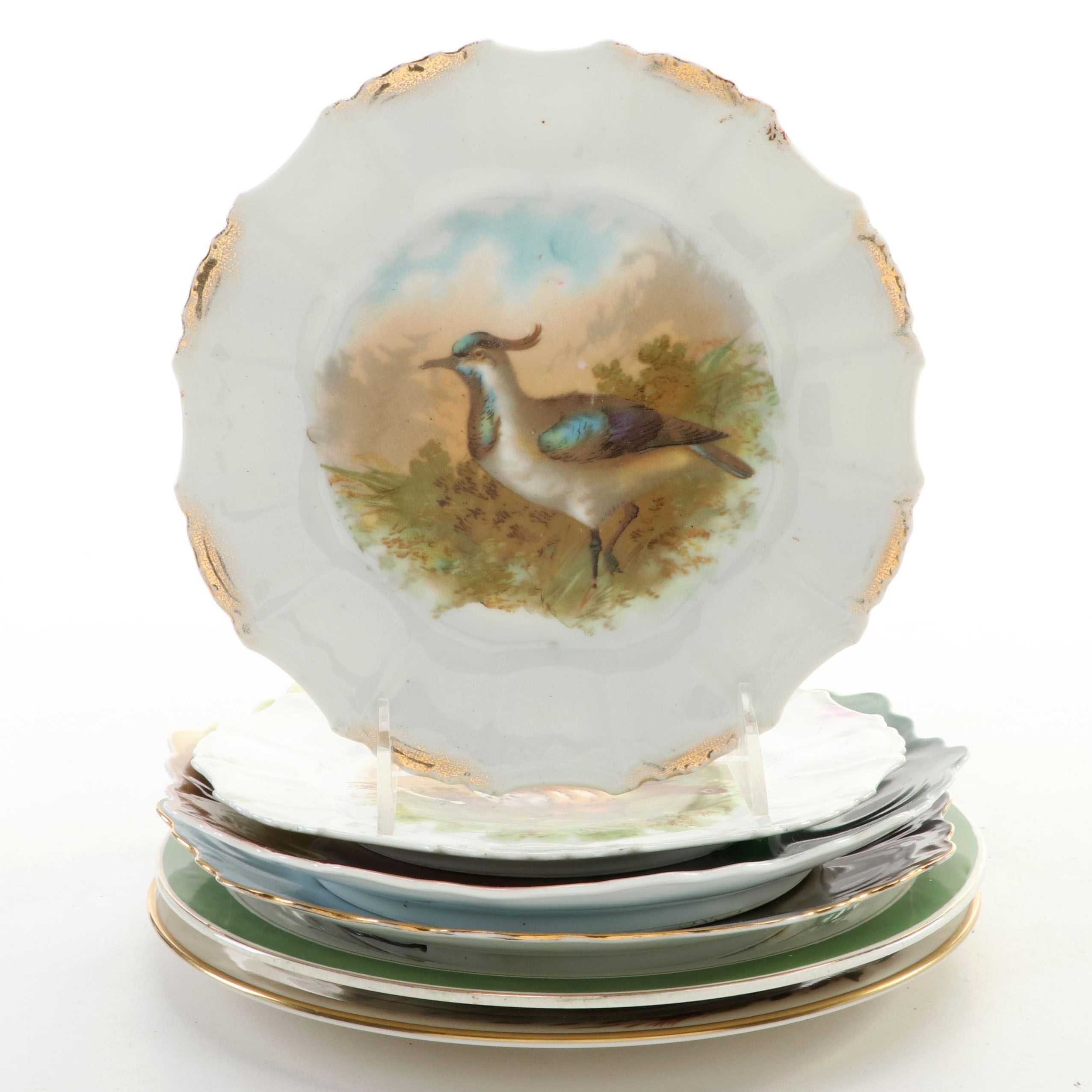 Zeh, Scherzer & Co. with Other Porcelain Bird Cabinet Plates, 20th Century