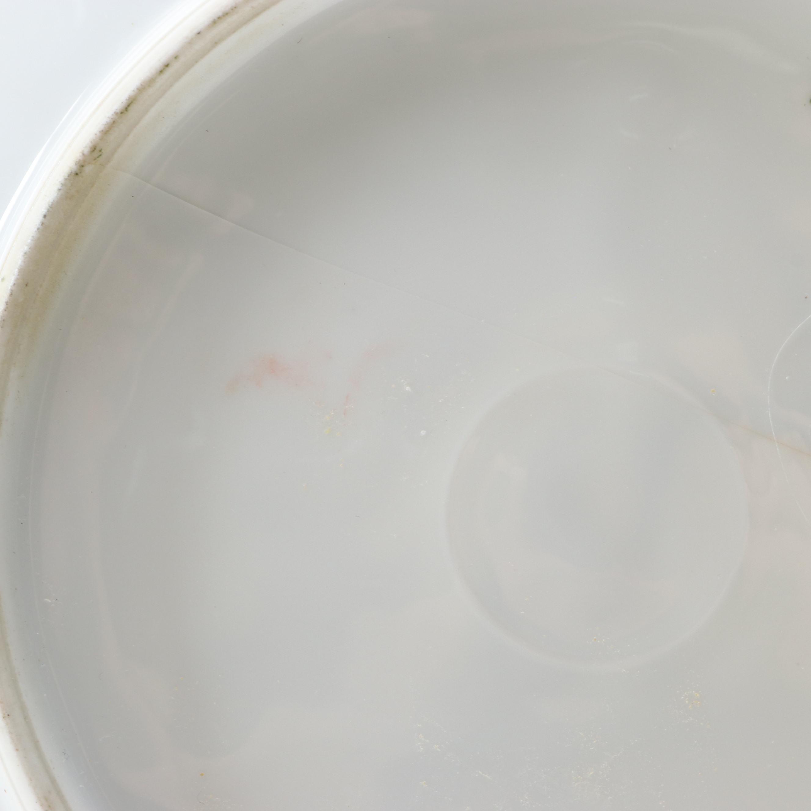 Zeh, Scherzer & Co. with Other Porcelain Bird Cabinet Plates, 20th Century