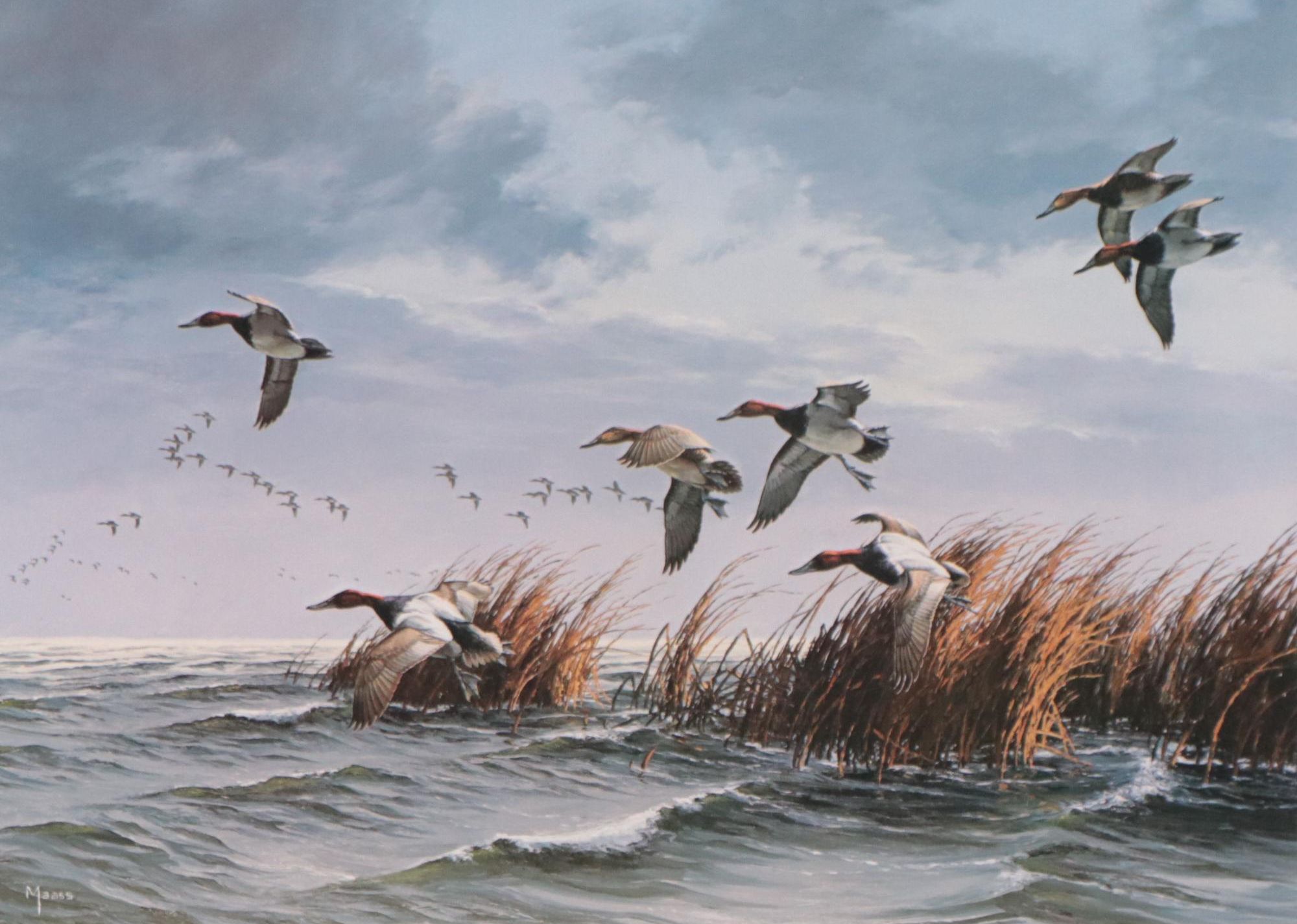 David A. Maass Offset Lithograph of Mallards in Flight