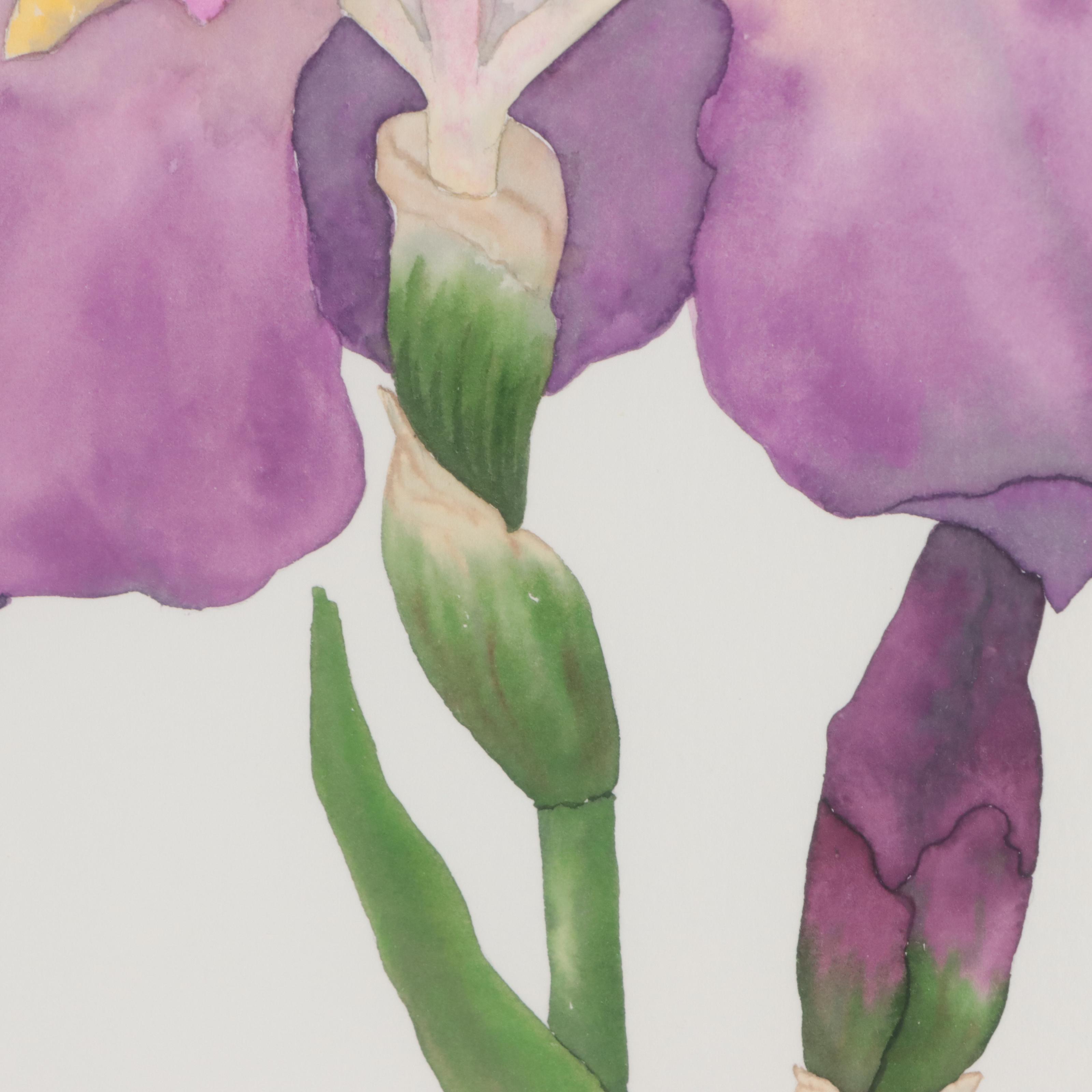 Elsa Morris Watercolor Painting of Iris, Late 20th Century