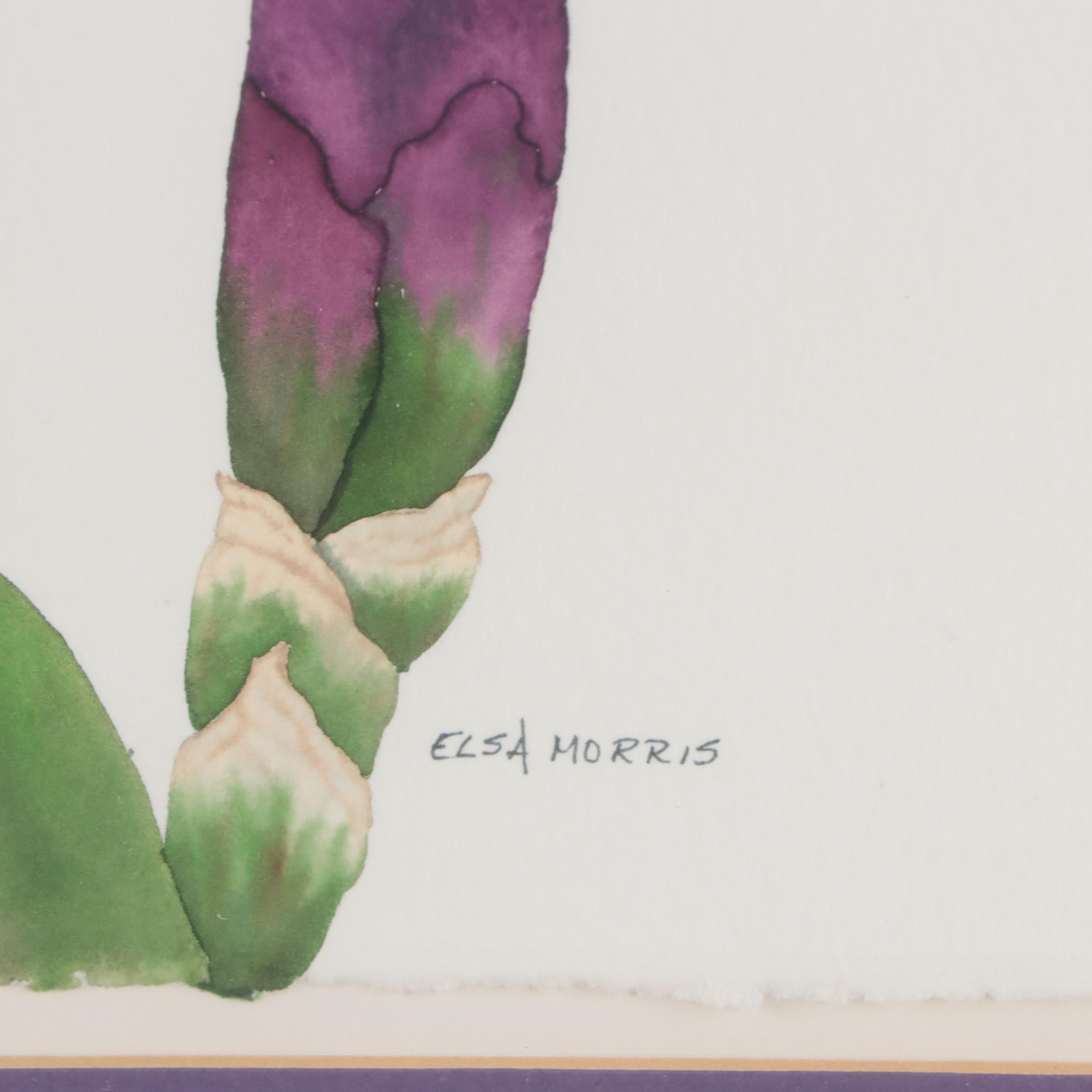 Elsa Morris Watercolor Painting of Iris, Late 20th Century