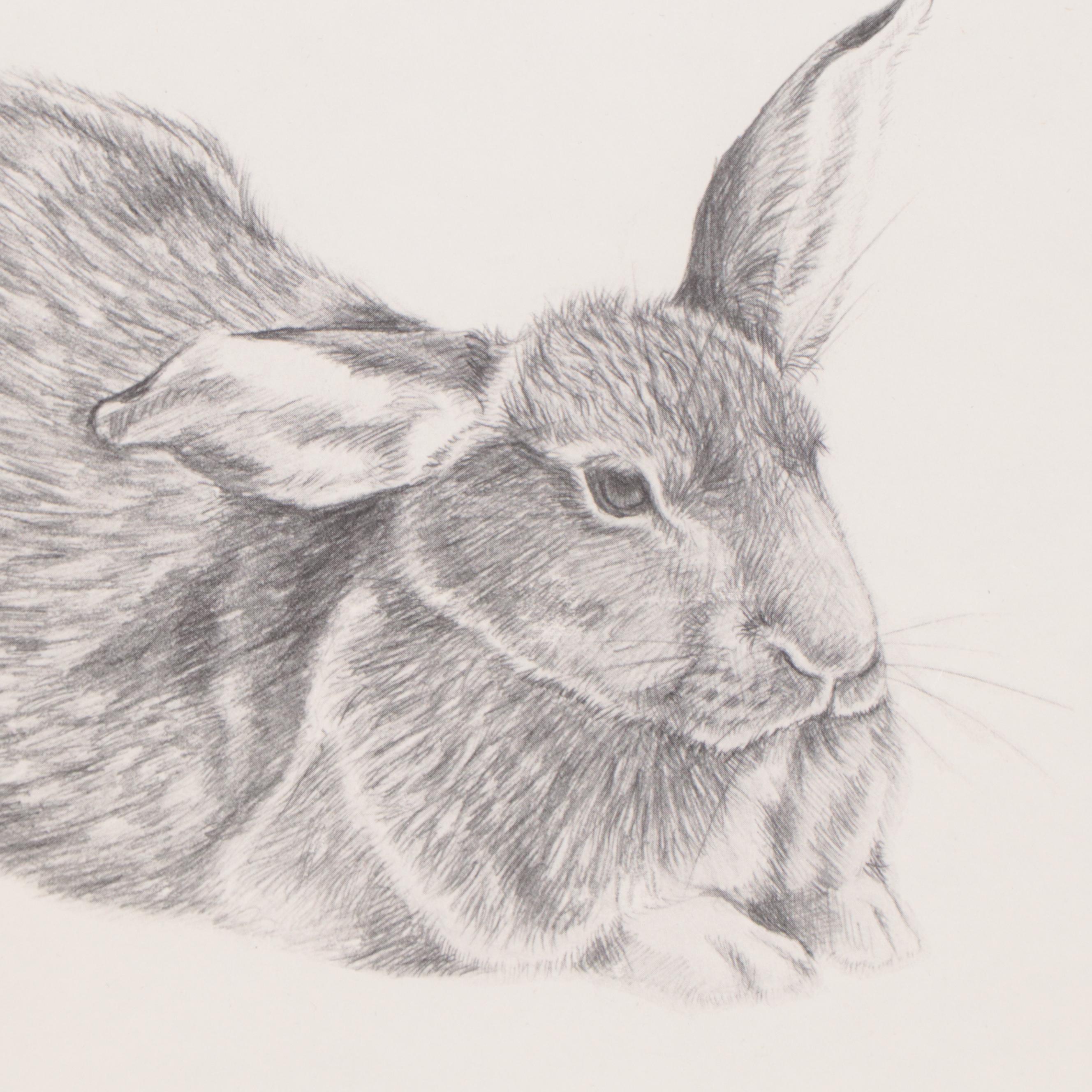 Susan Norris Barr Halftone of Resting Bunny, 1982