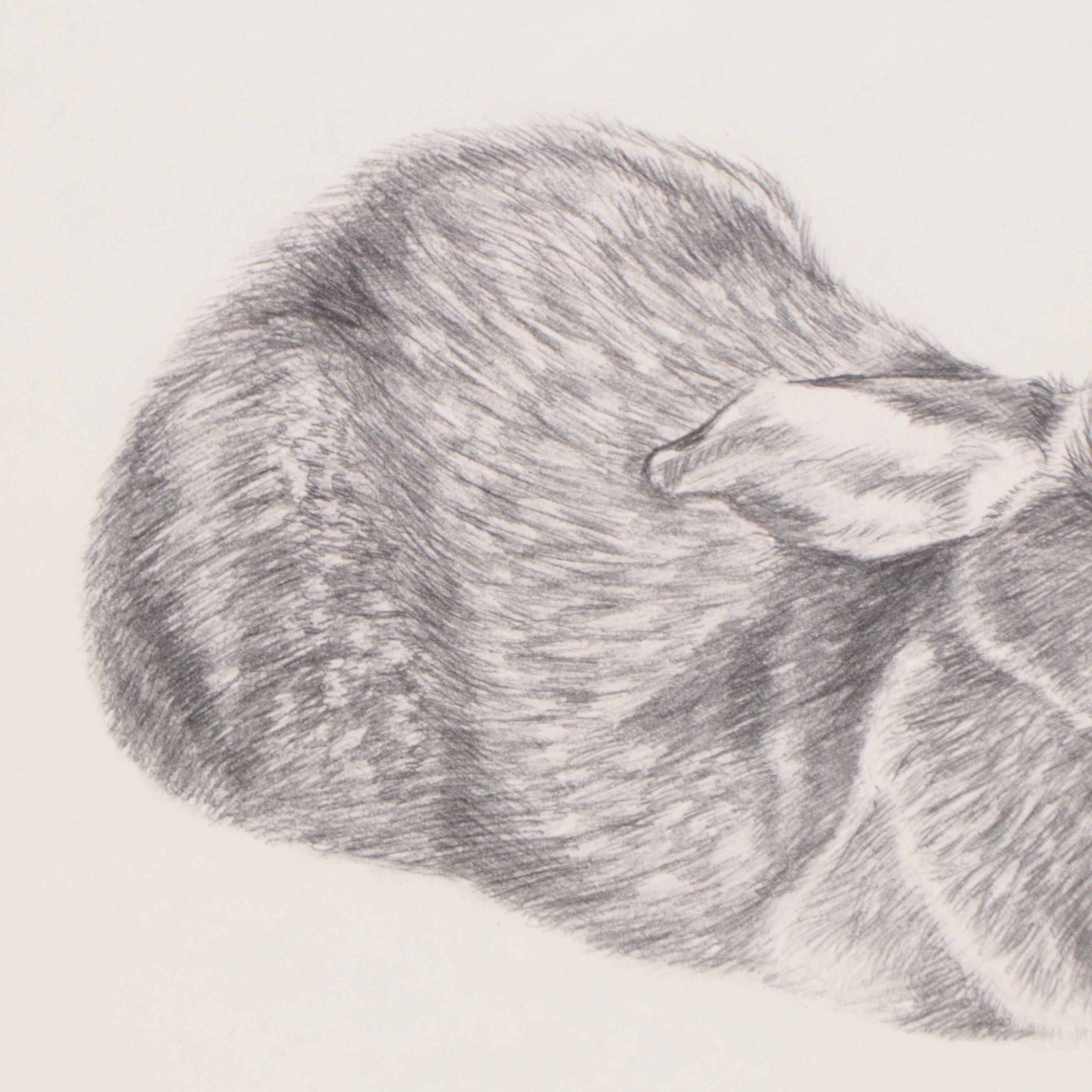 Susan Norris Barr Halftone of Resting Bunny, 1982