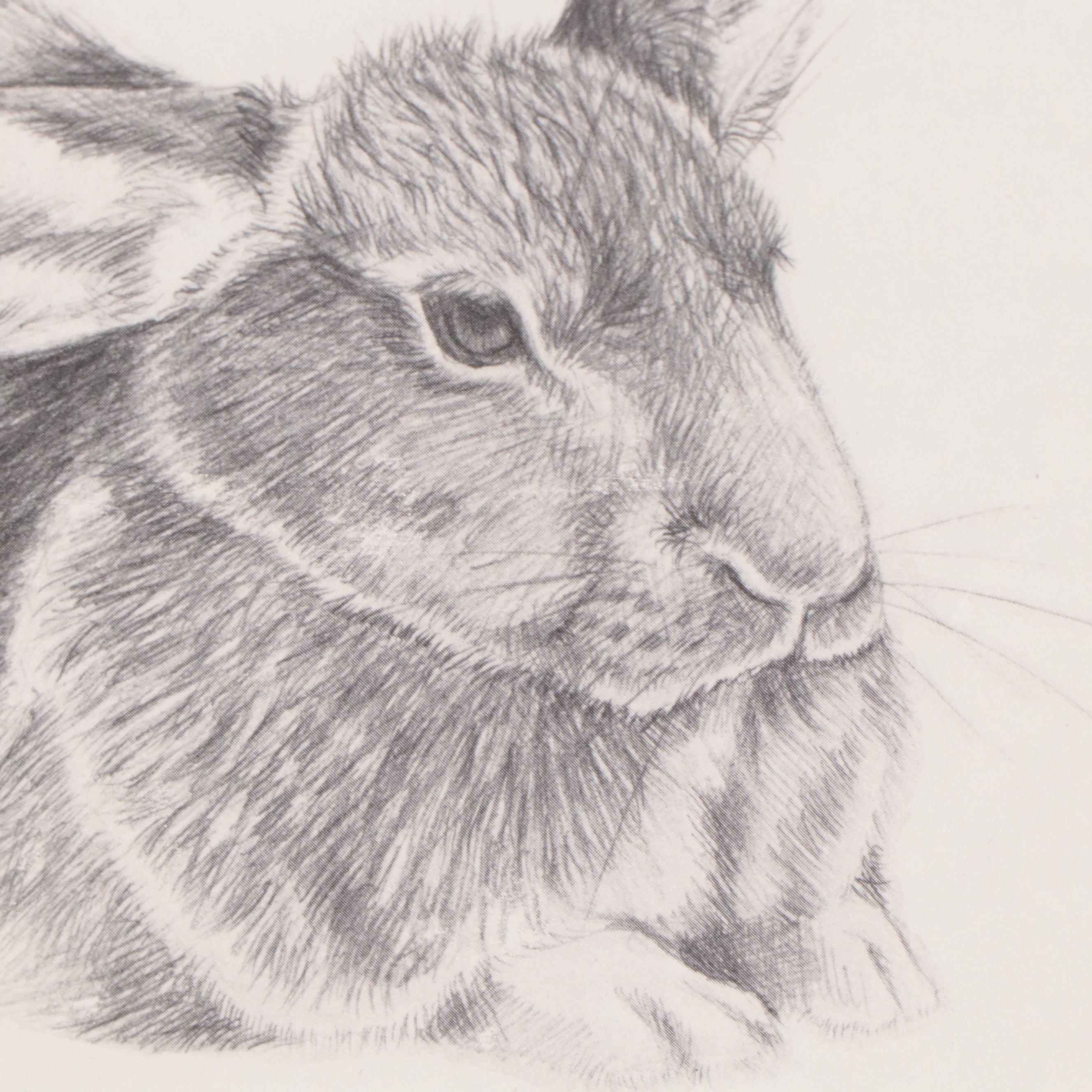 Susan Norris Barr Halftone of Resting Bunny, 1982