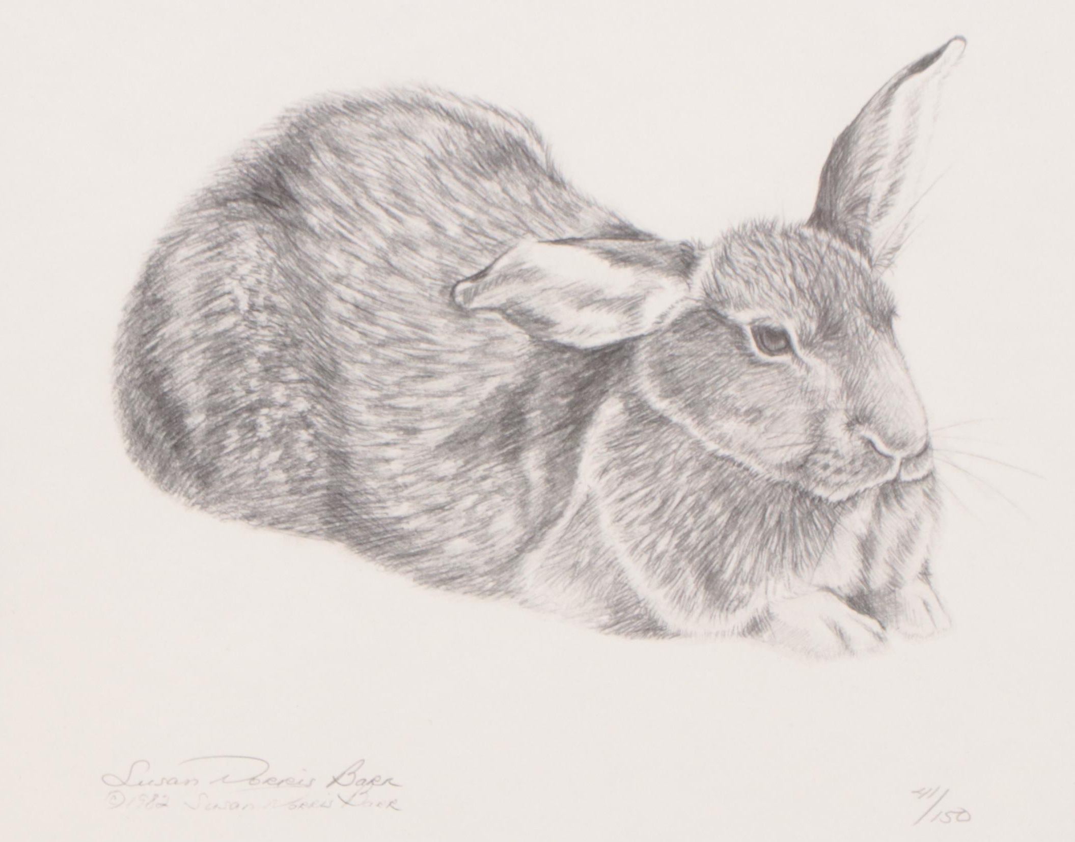 Susan Norris Barr Halftone of Resting Bunny, 1982