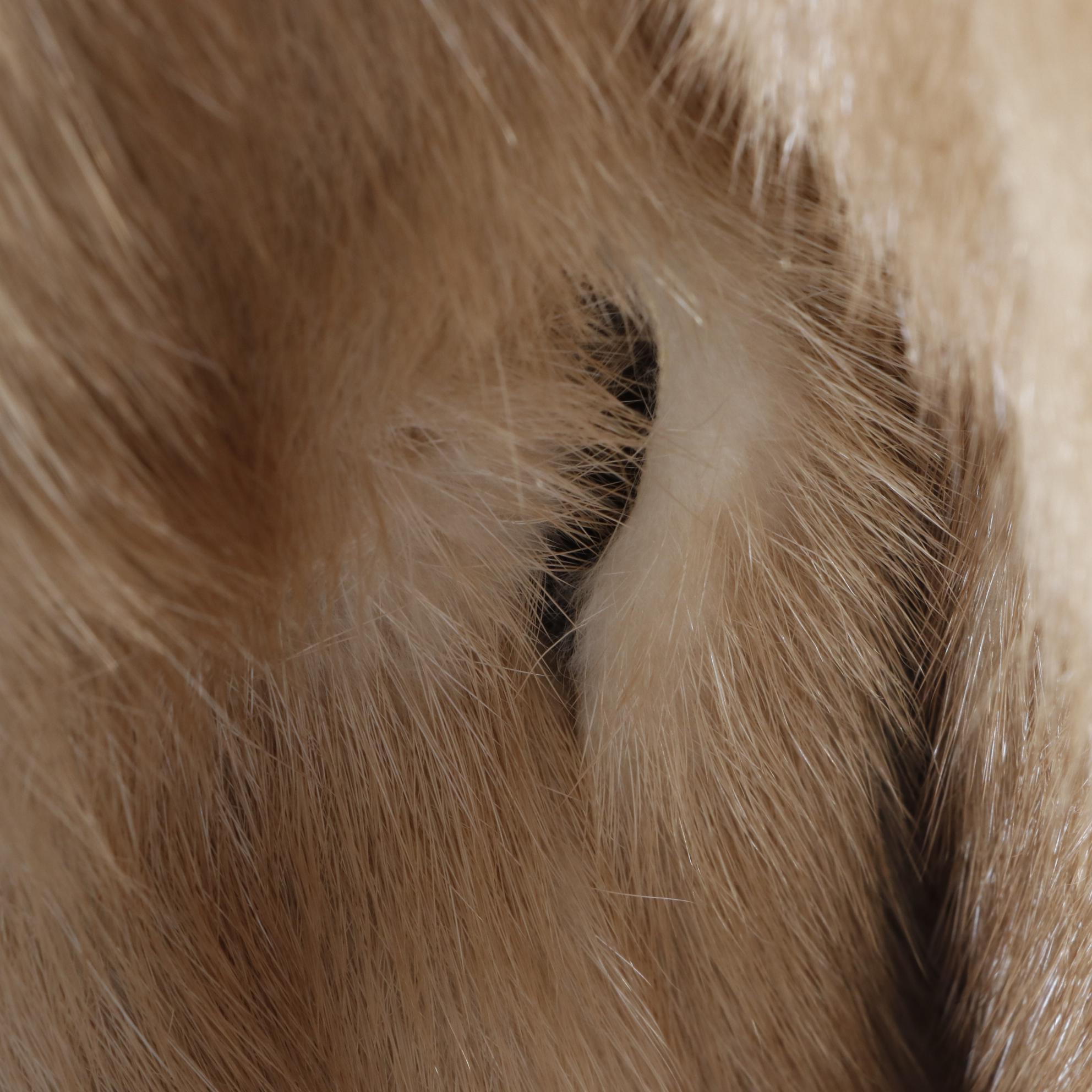 Light Autumn Haze Mink Fur Coat with Spread Collar by Stanley Rich Furs