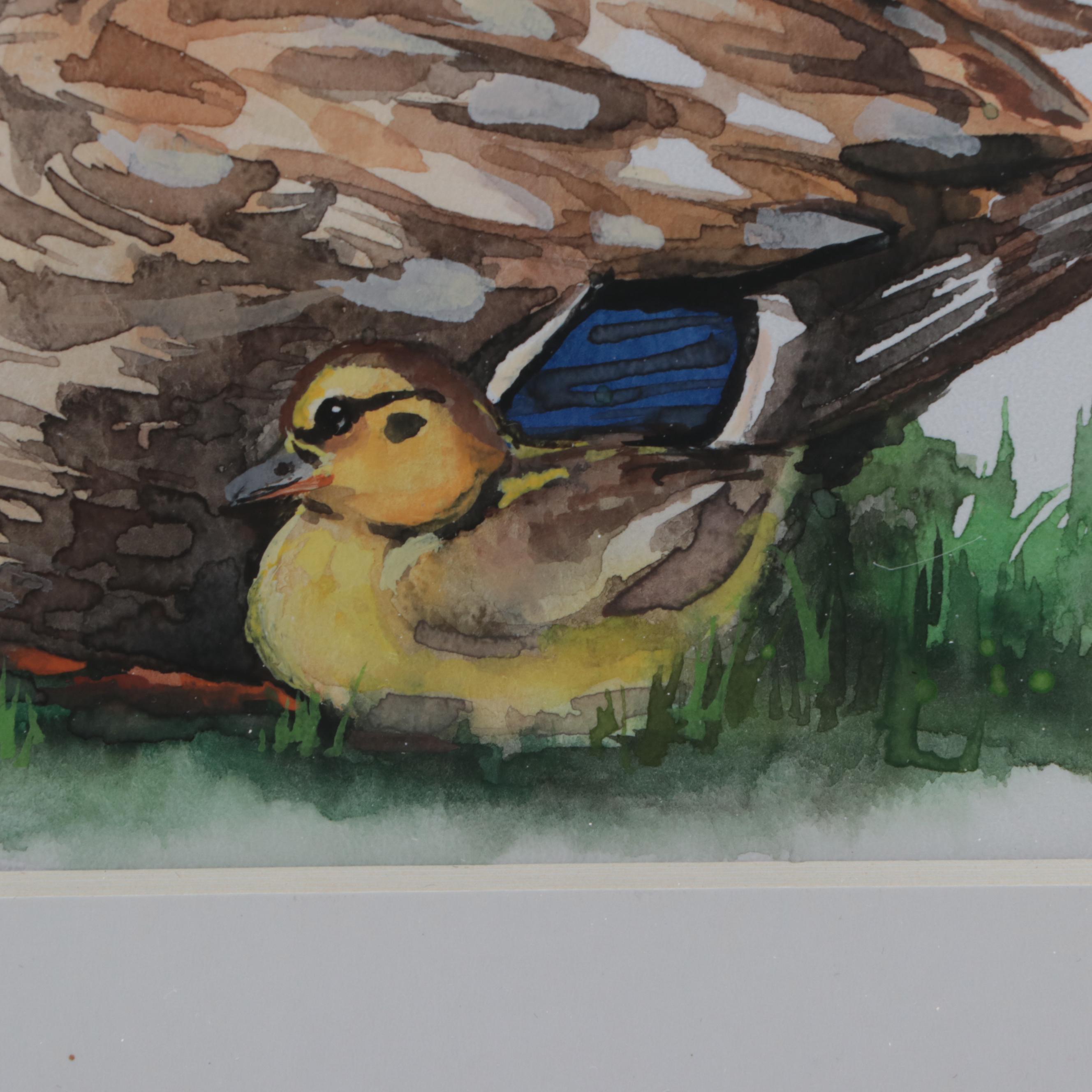 Angor Watercolor Painting of Duck