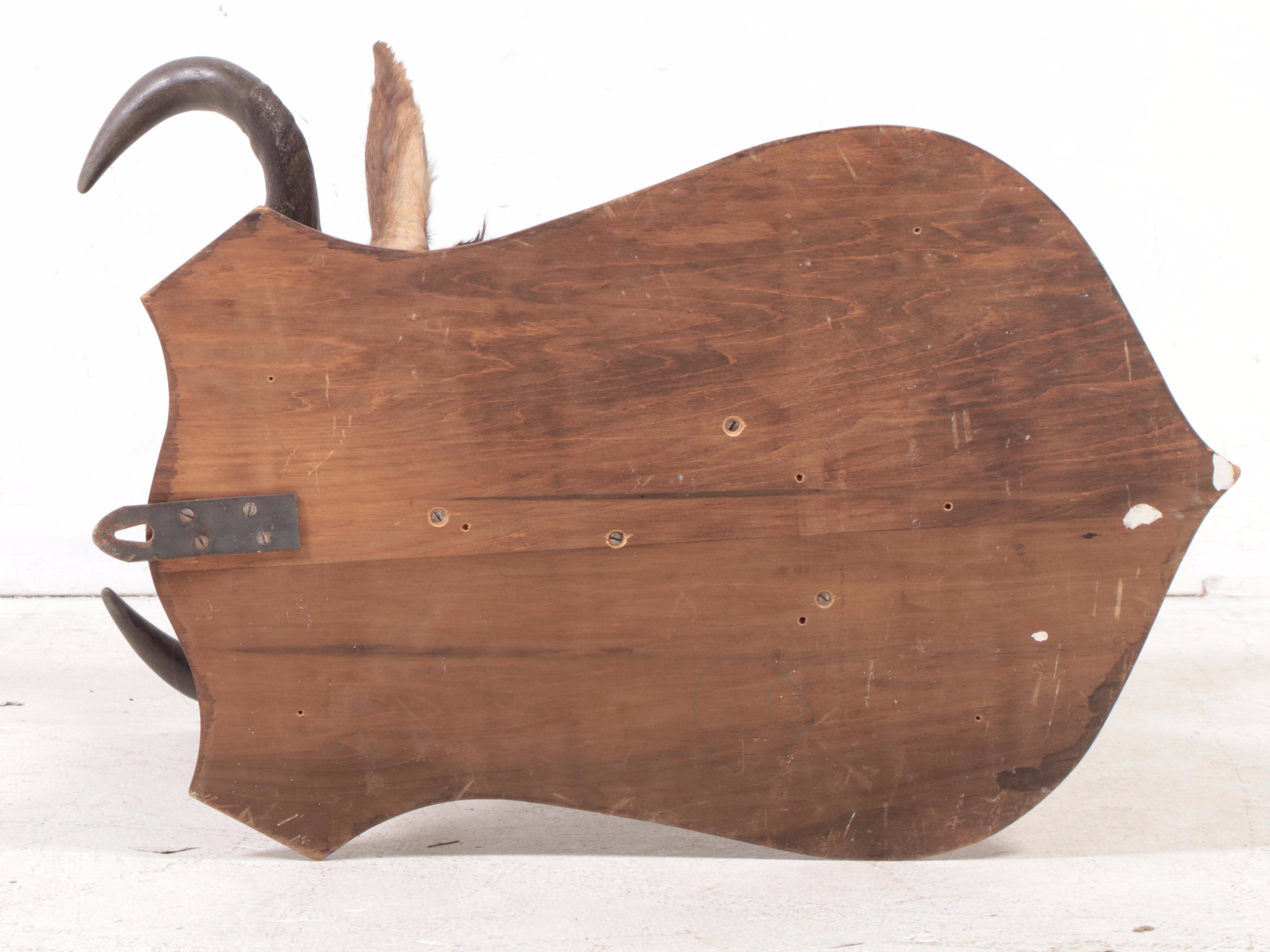 Taxidermy Blue Wildebeest Shoulder Mount