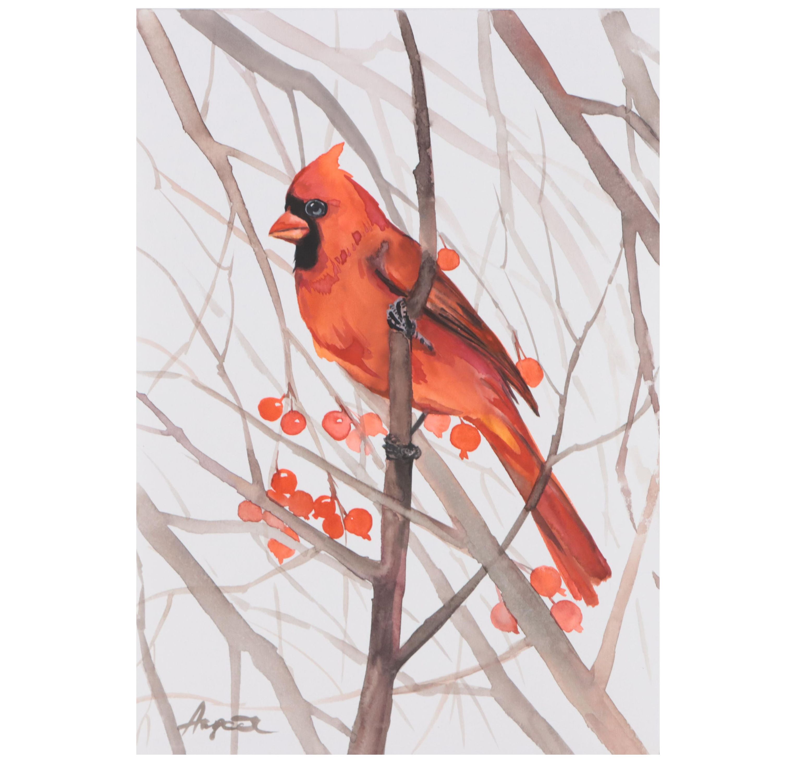 Anne Gorywine Watercolor Painting of Cardinal, 2022