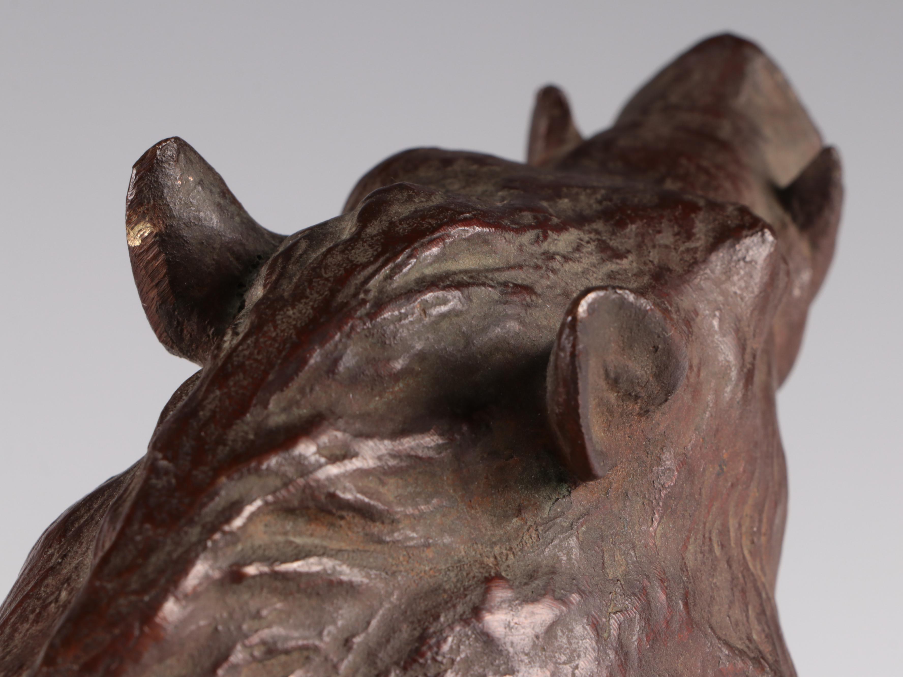 Large Austrian Cold Painted Bronze Wild Boar Figure, Late 19th Century