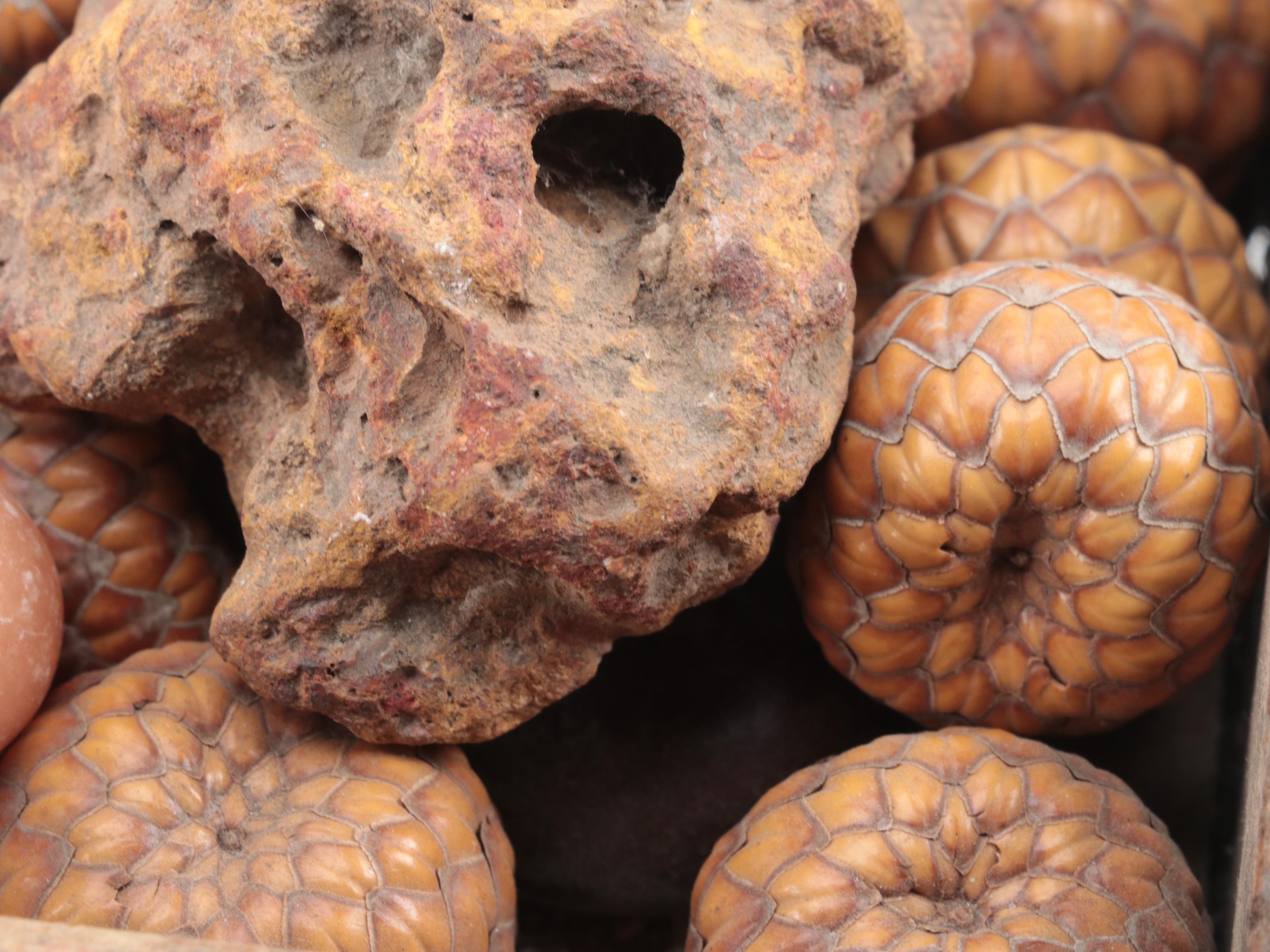 Polychromed and Incised Tiered Box with Seed Pods, Marble and Glass Decor