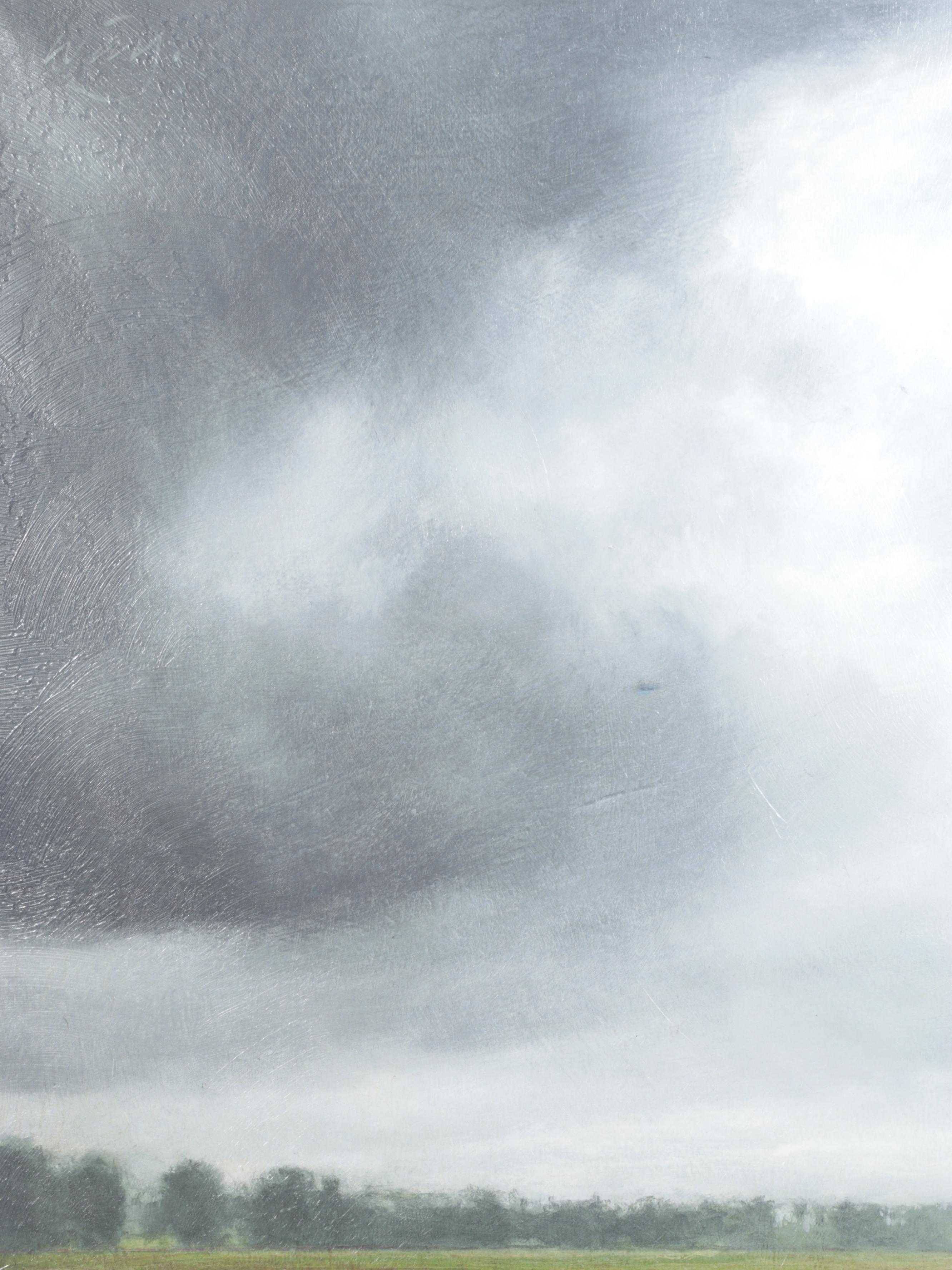 Ballard Designs Giclée "Storm Over the Marsh"