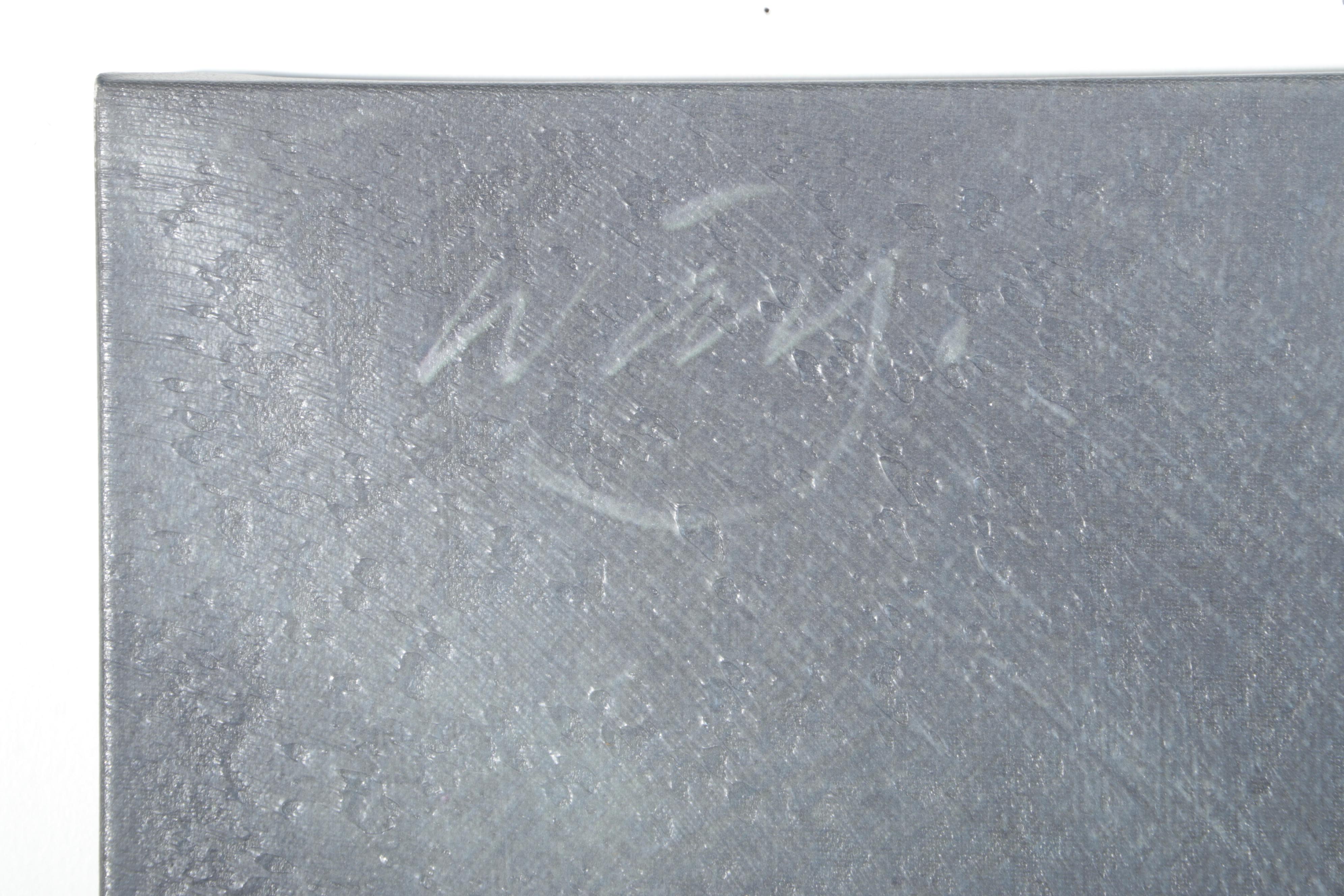 Ballard Designs Giclée "Storm Over the Marsh"