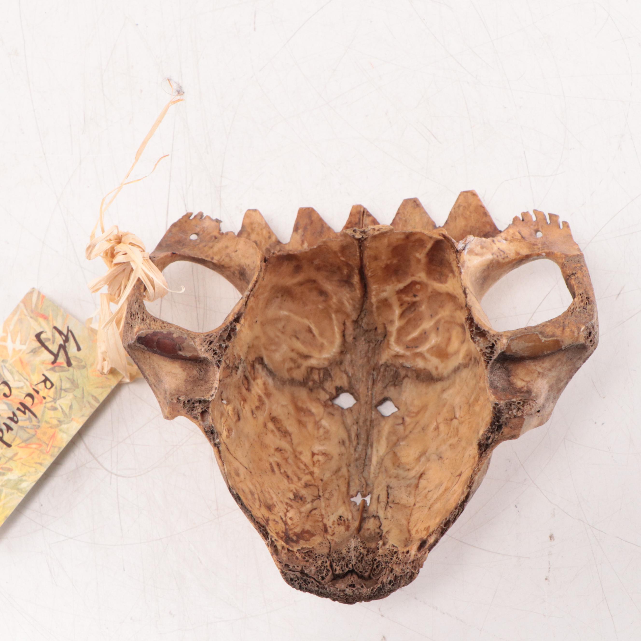 West Timor Incised Skull Mask, Mid-20th Century