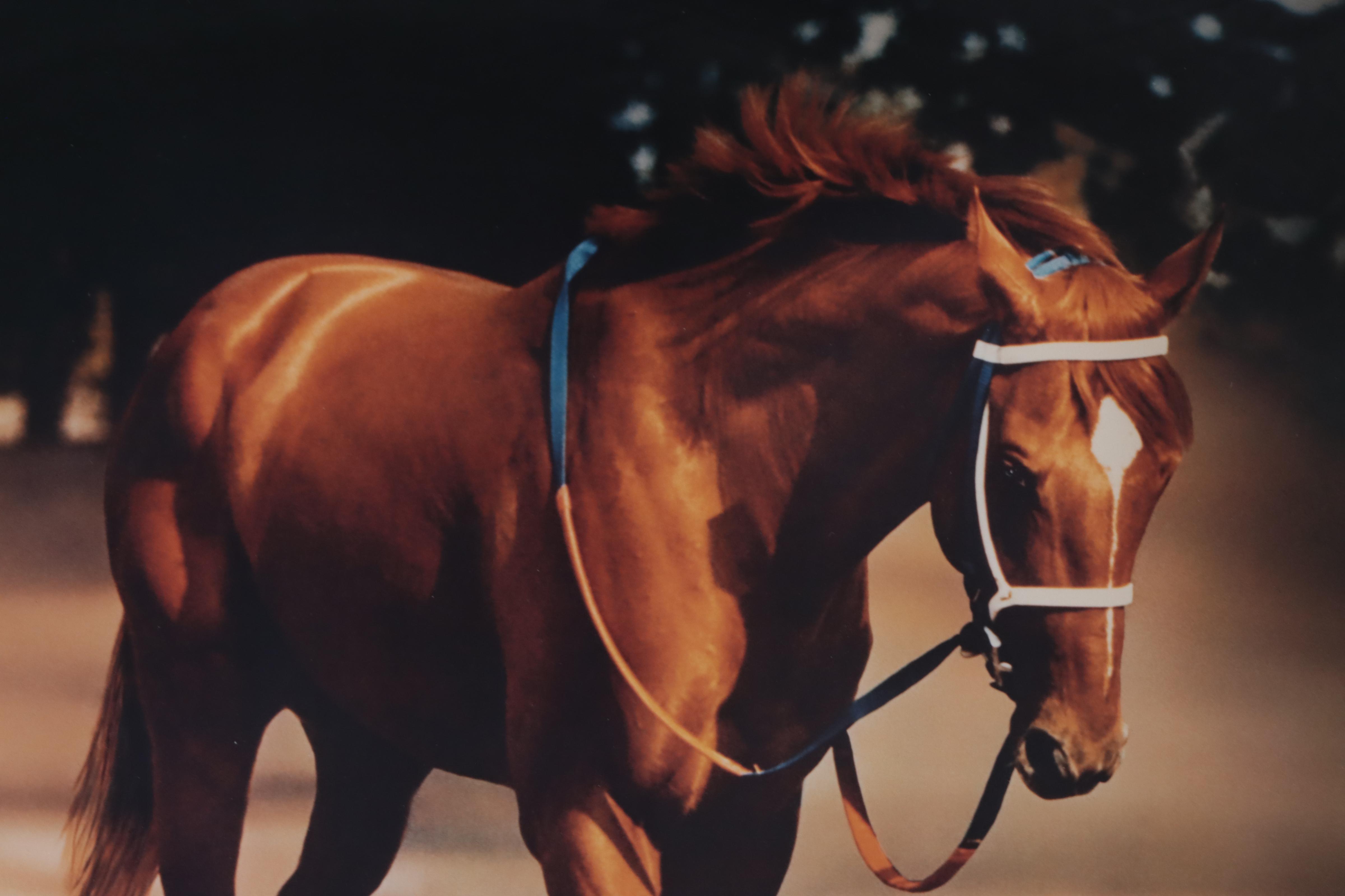 Tony Leonard Offset Lithograph "Secretariat: At the Belmont," 1973