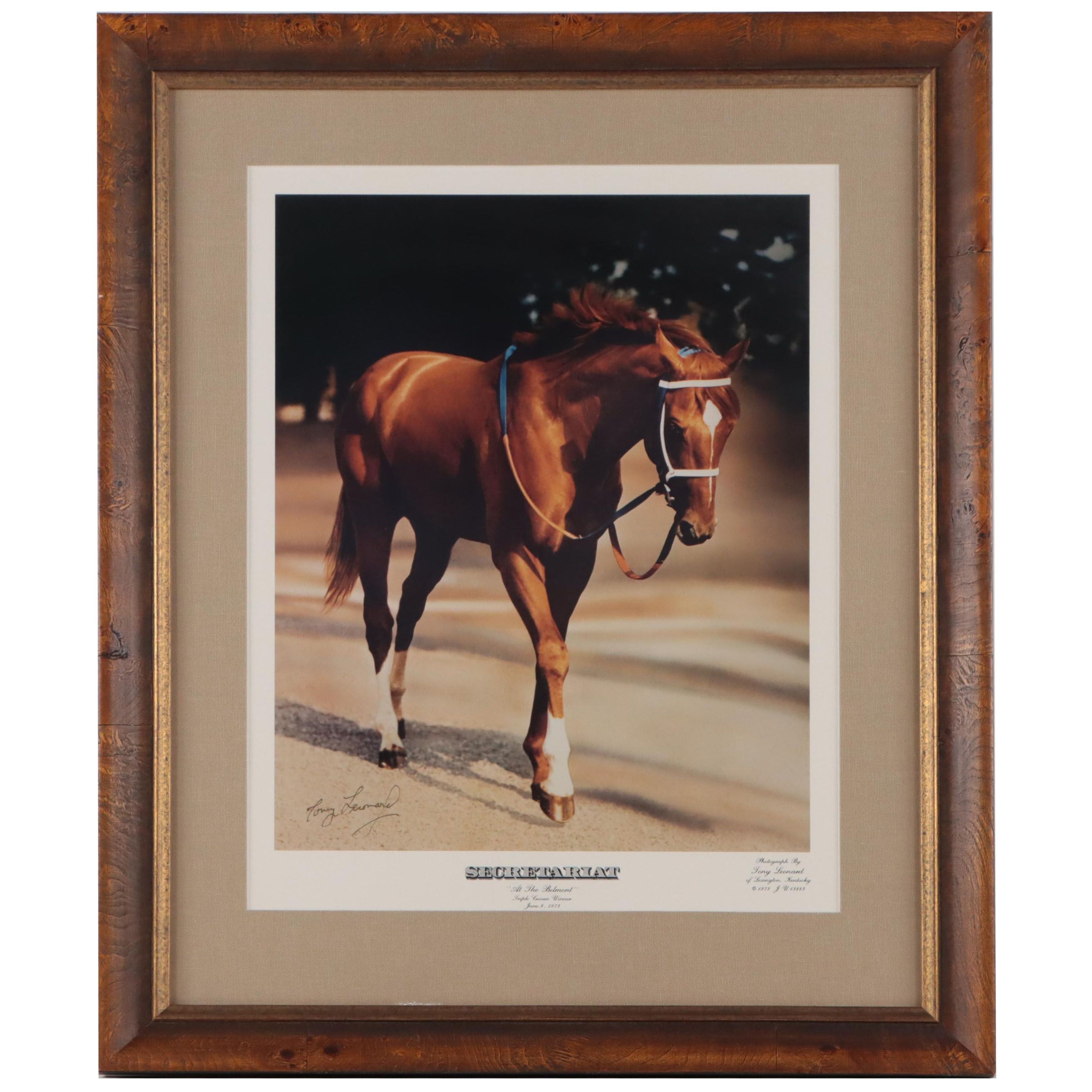 Tony Leonard Offset Lithograph "Secretariat: At the Belmont," 1973