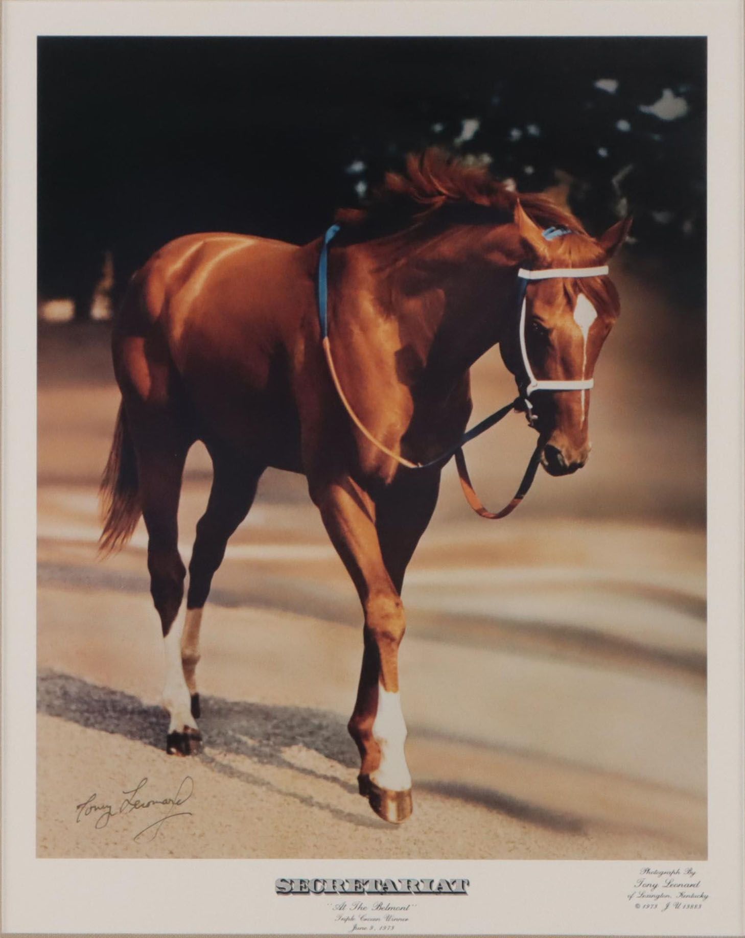 Tony Leonard Offset Lithograph "Secretariat: At the Belmont," 1973