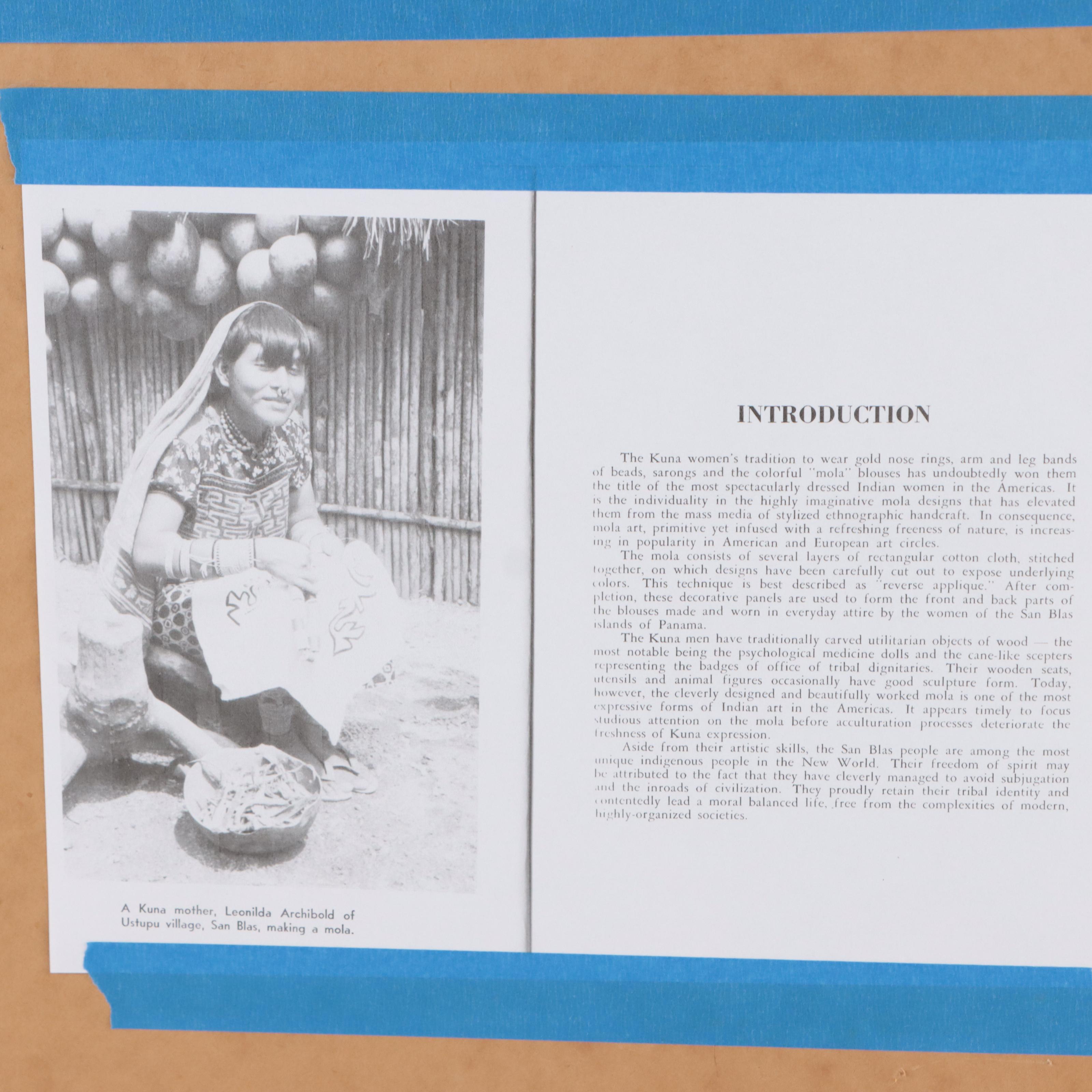 Folk Art Panamanian Guna Mola Textile in Frame