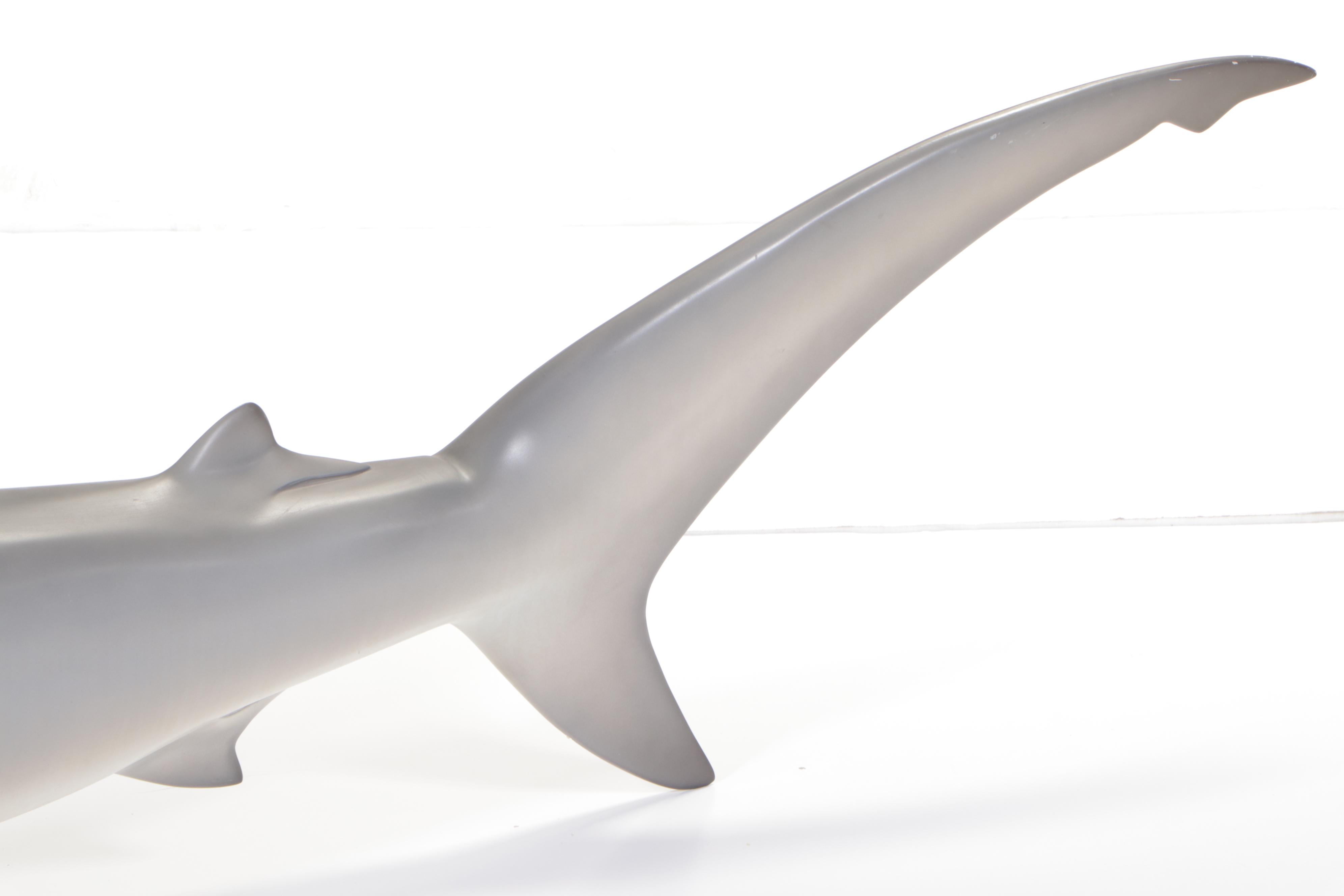 Taxidermy Fiberglass Replica Smooth Hammerhead Shark