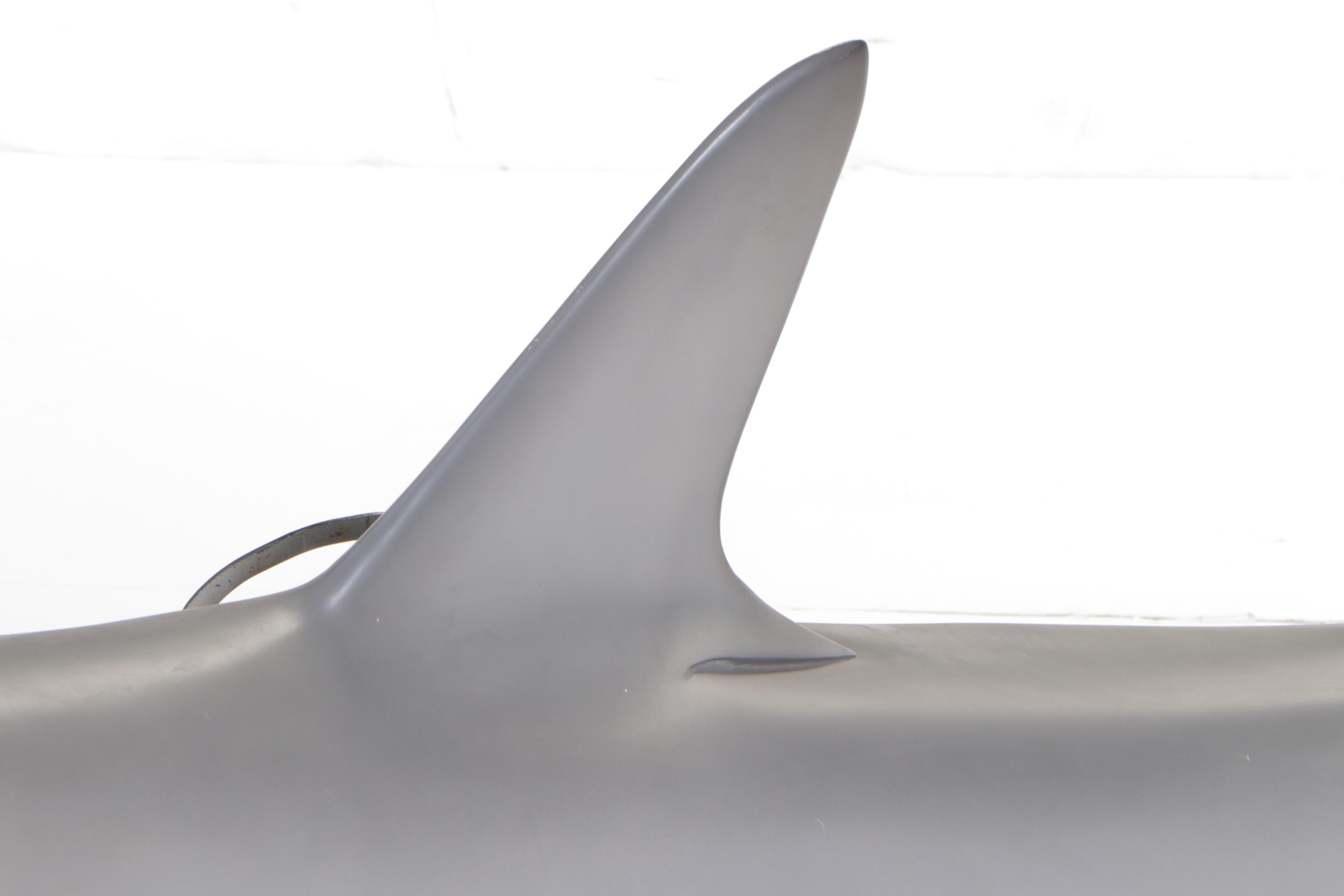 Taxidermy Fiberglass Replica Smooth Hammerhead Shark