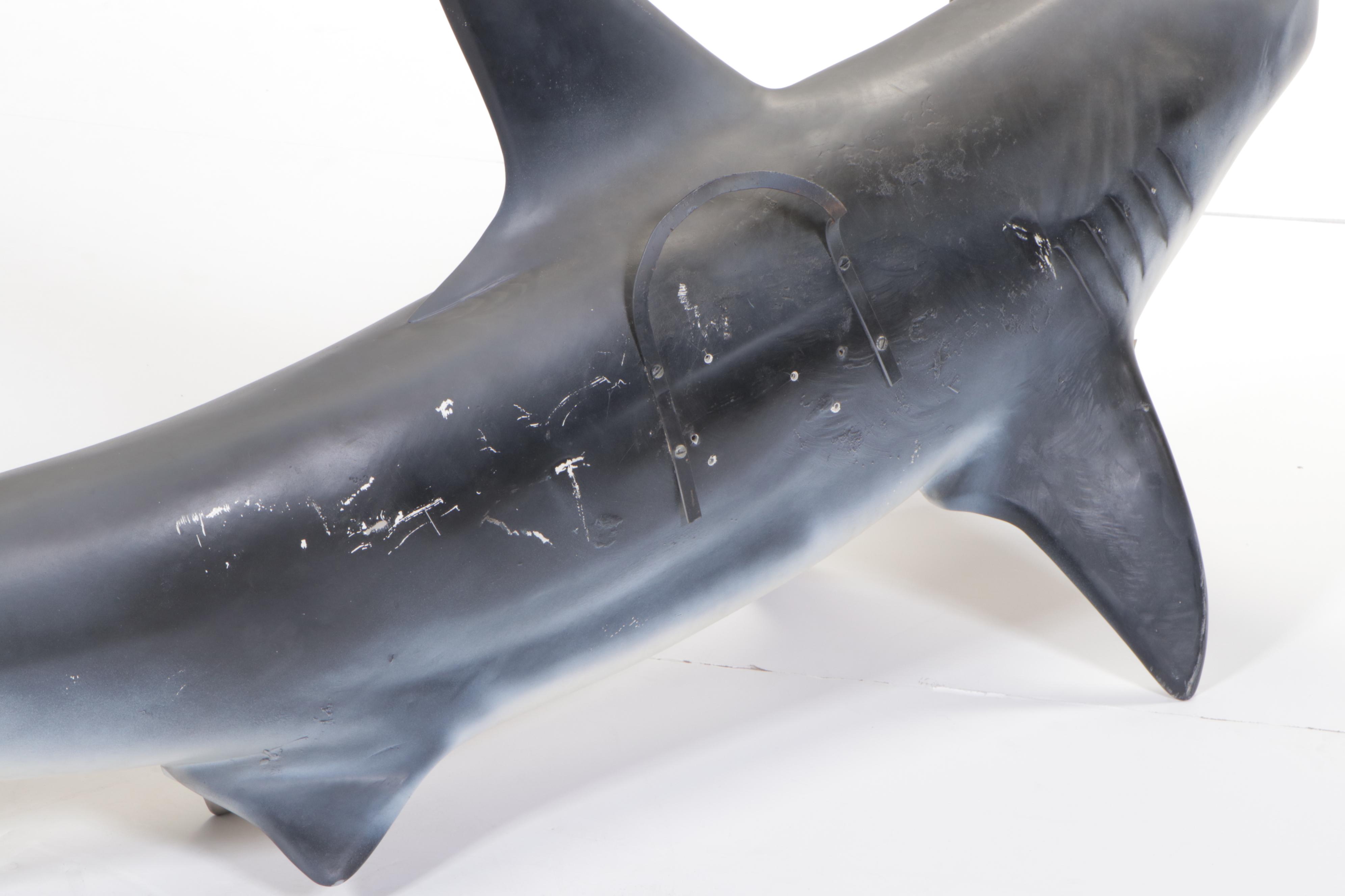 Taxidermy Fiberglass Replica Smooth Hammerhead Shark