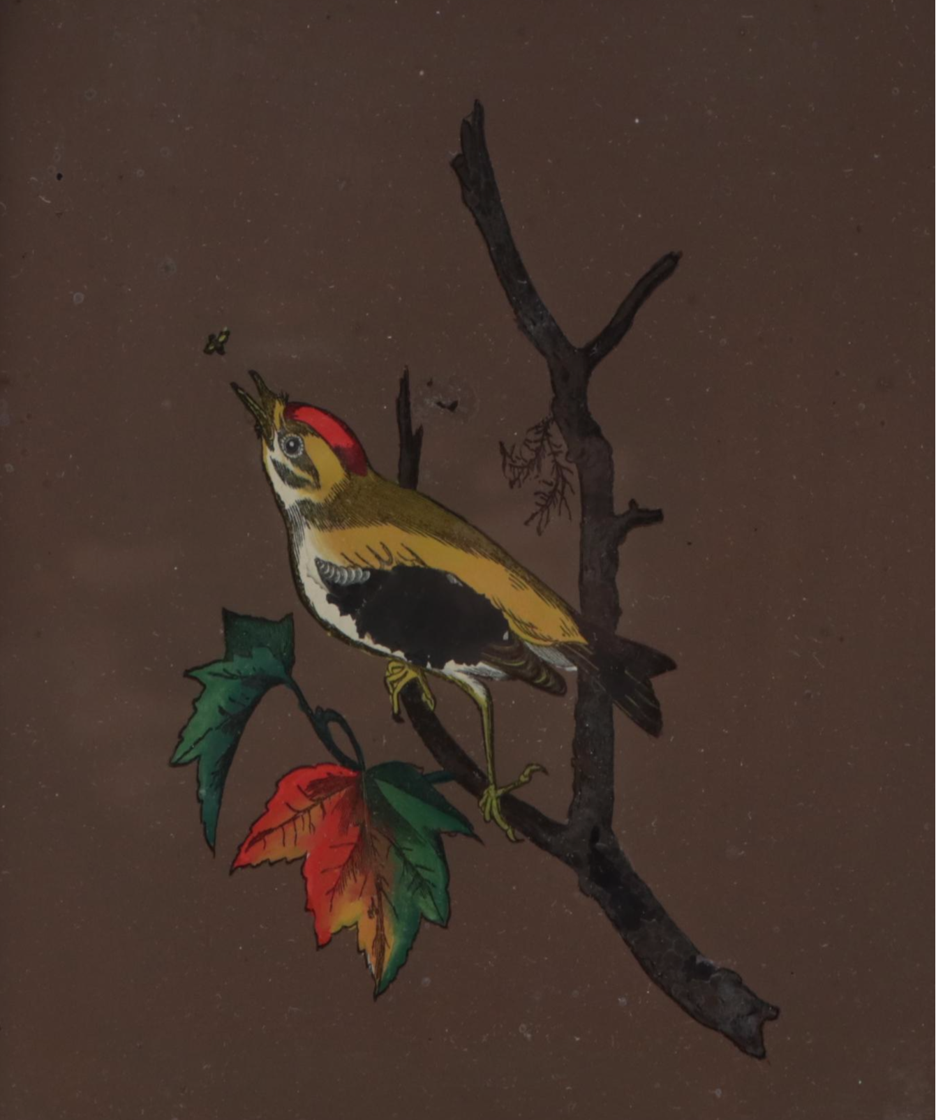 William L. Gilbert Mahogany Eight Day Ogee Clock, 1875