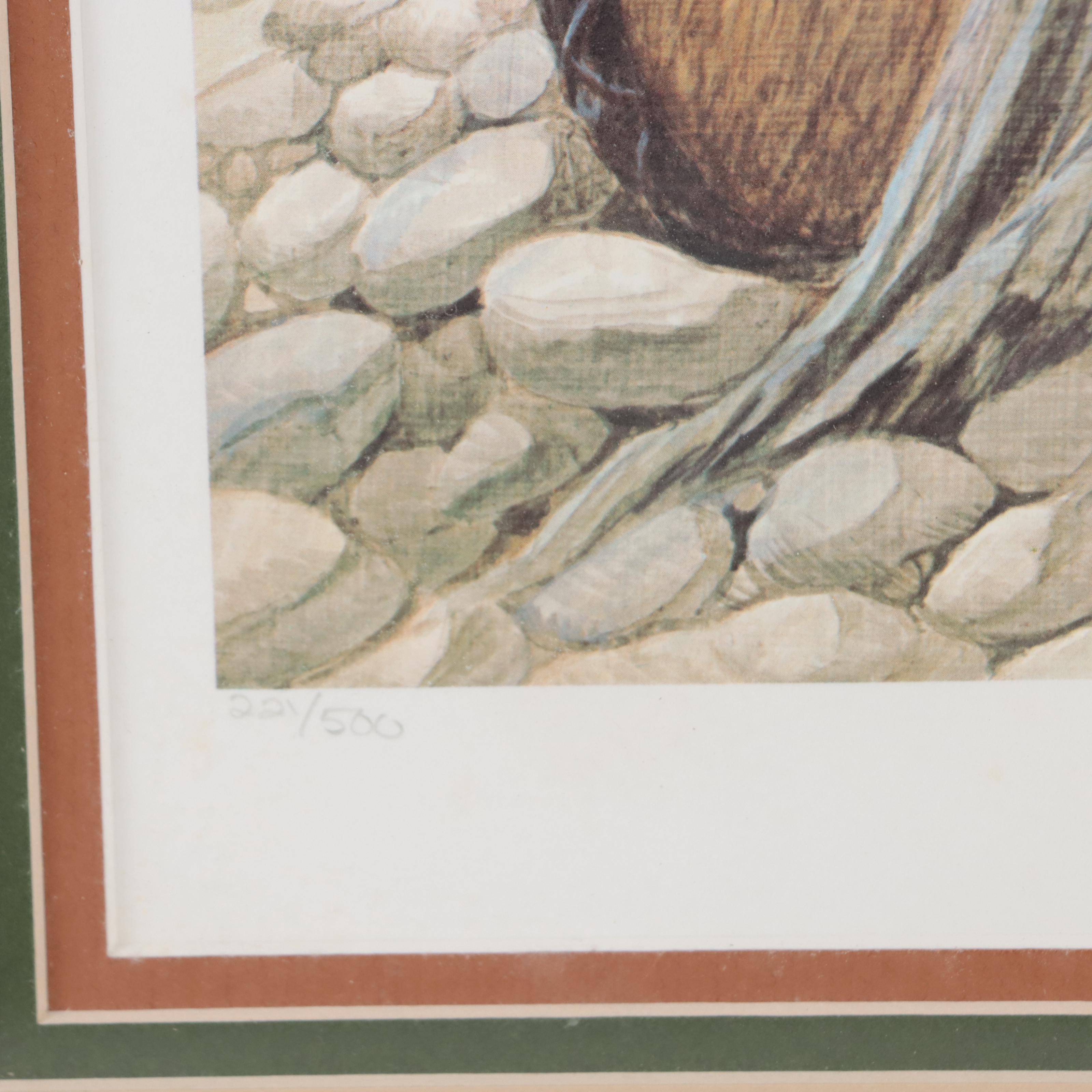 John Ruthven Offset Lithograph "Shawnee Indian"