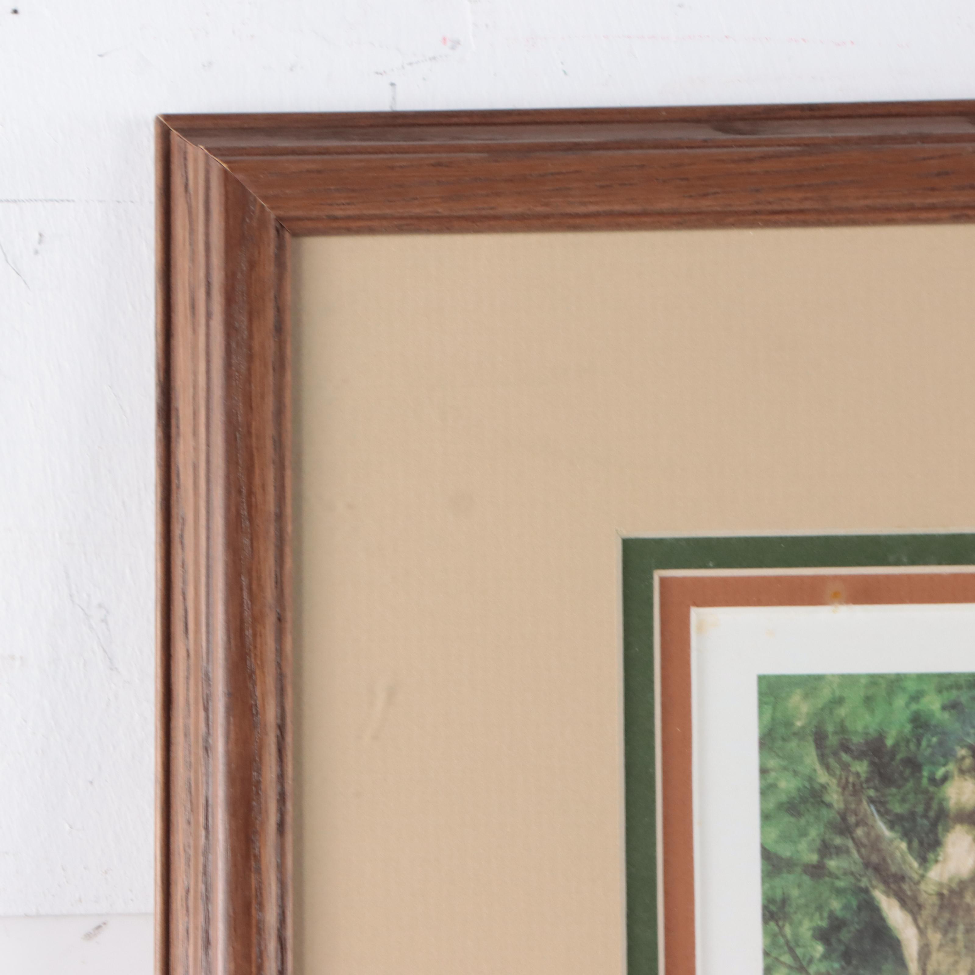 John Ruthven Offset Lithograph "Shawnee Indian"