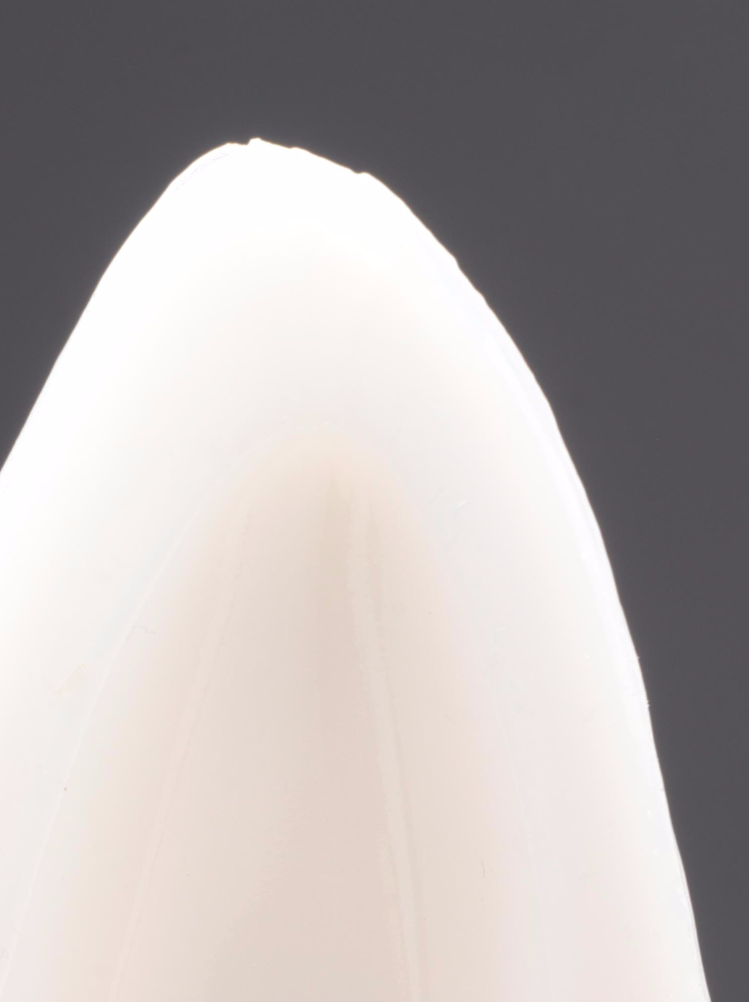 Fenton Hobnail Blue with Other Glass and Porcelain Shoe Figurines