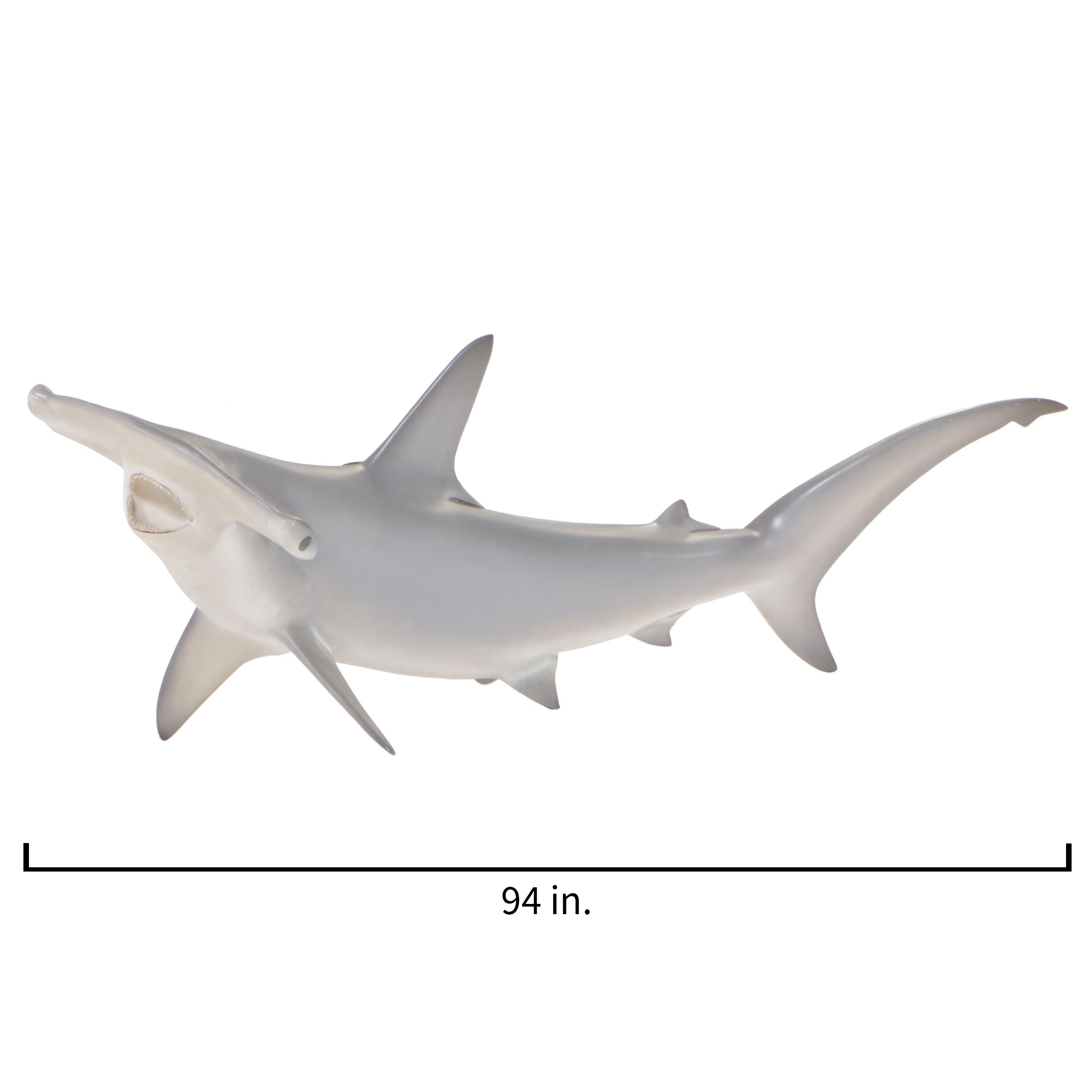 Taxidermy Fiberglass Replica Smooth Hammerhead Shark
