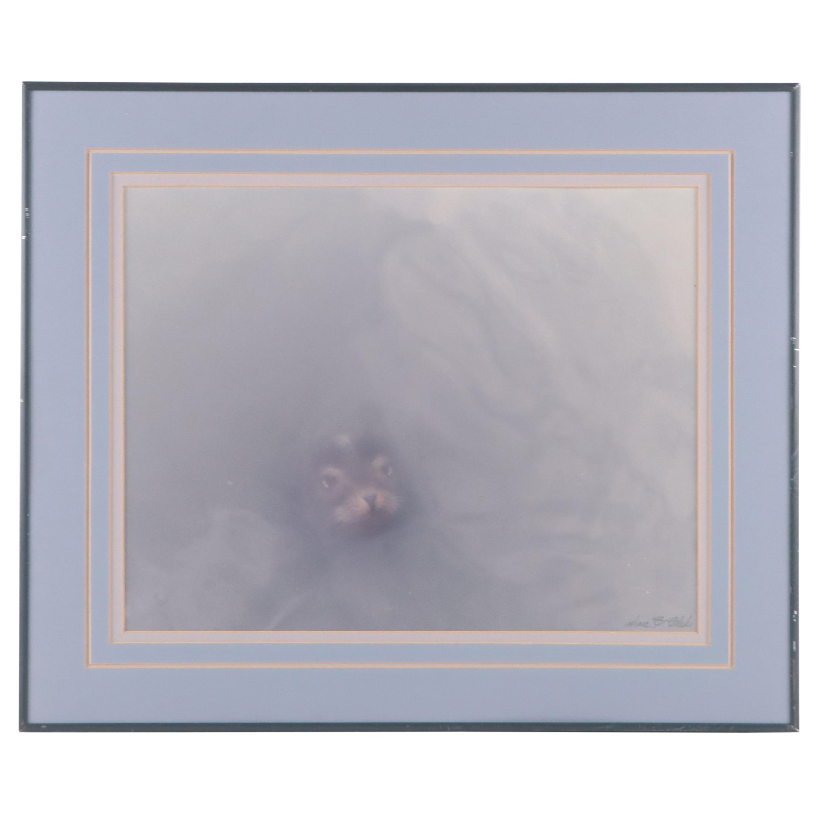 Marc B. Blake Digital Print of a Sea Lion, 1987