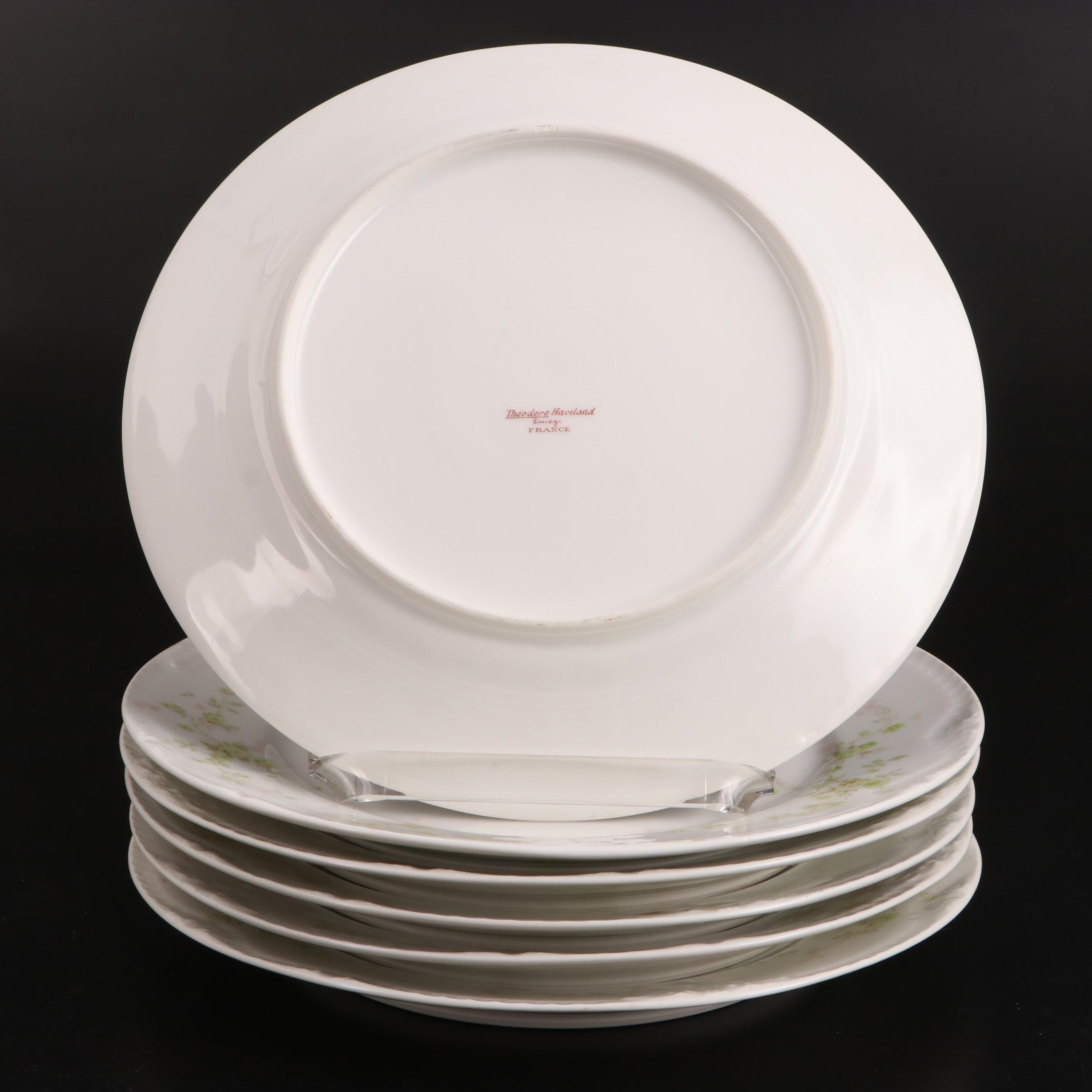 Theodore Haviland "Florida" Porcelain Dinnerware, Early 20th Century