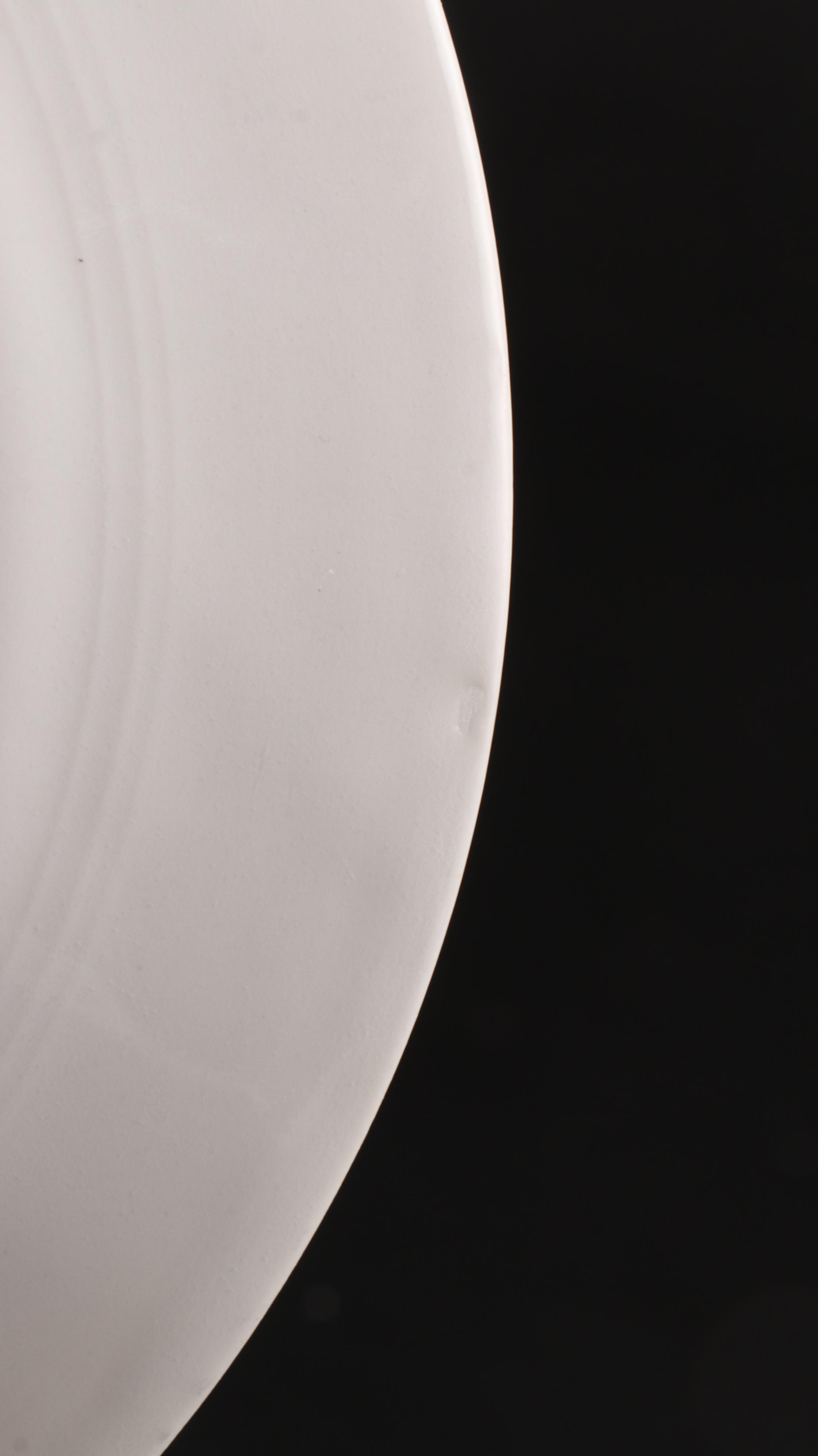 Theodore Haviland "Florida" Porcelain Dinnerware, Early 20th Century