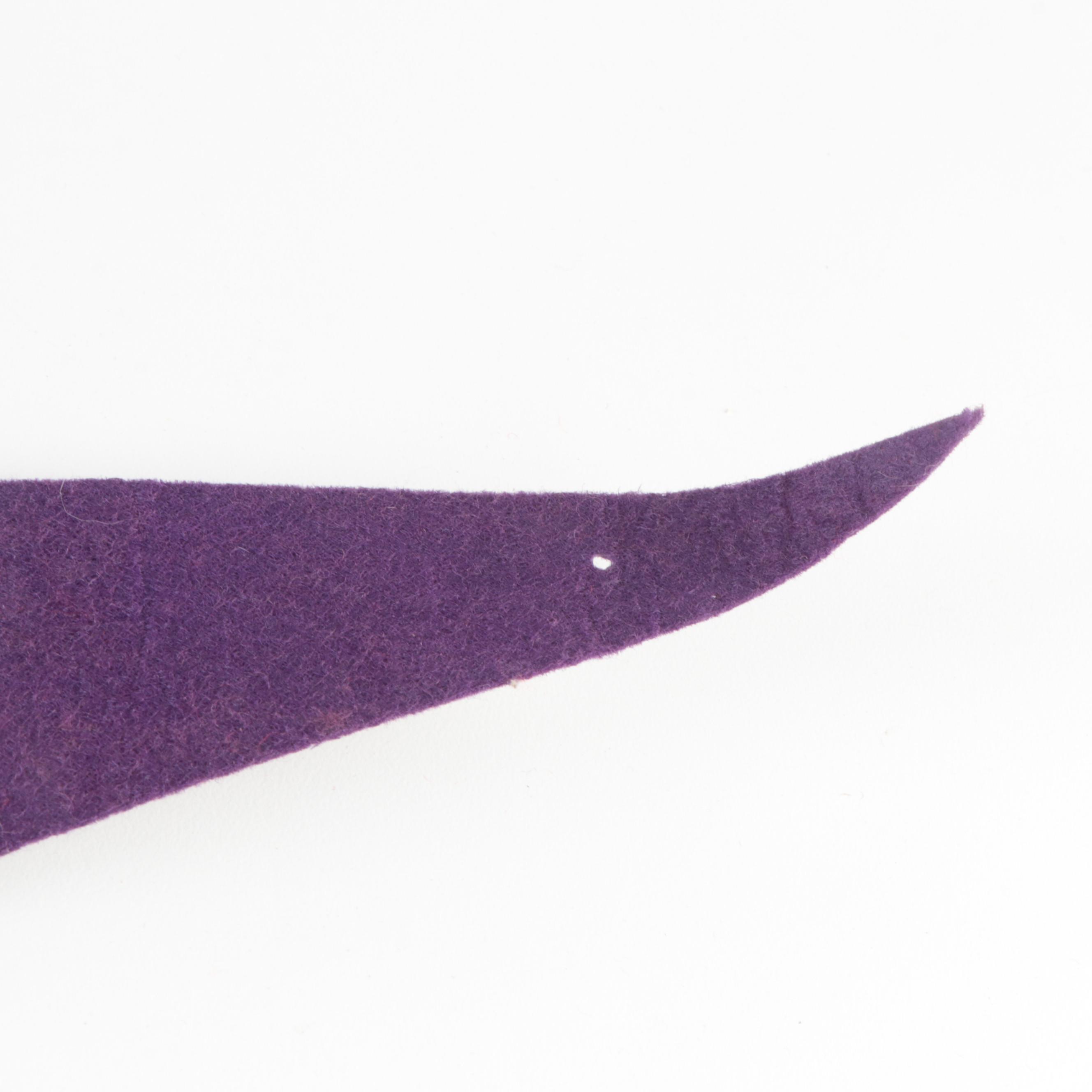 Notre Dame, L.A. Lakers, N.Y. Mets and Atlanta Braves Pennants, Late 20th C.