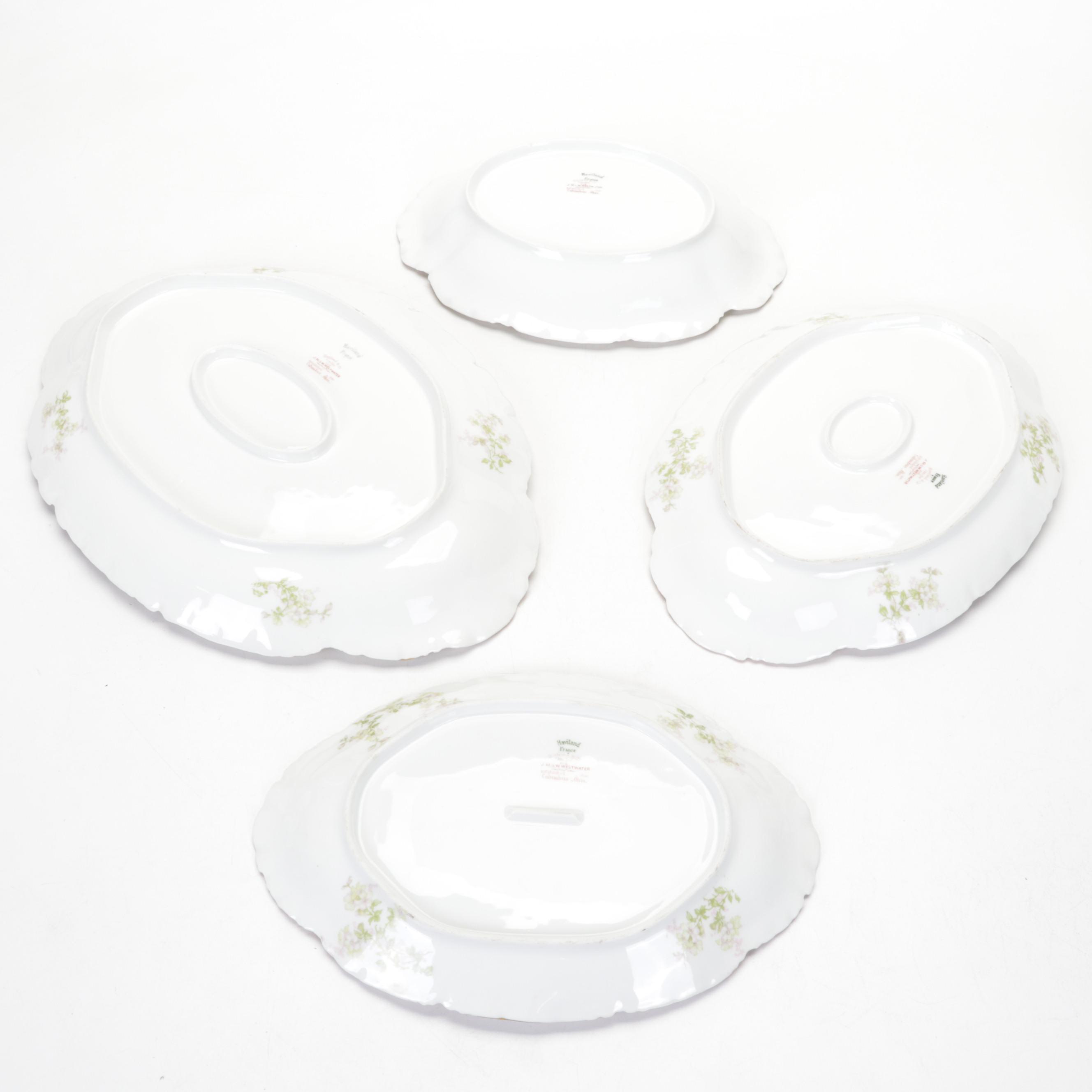 Haviland Limoges Rose Spray Porcelain Dinnerware, 1894-1931