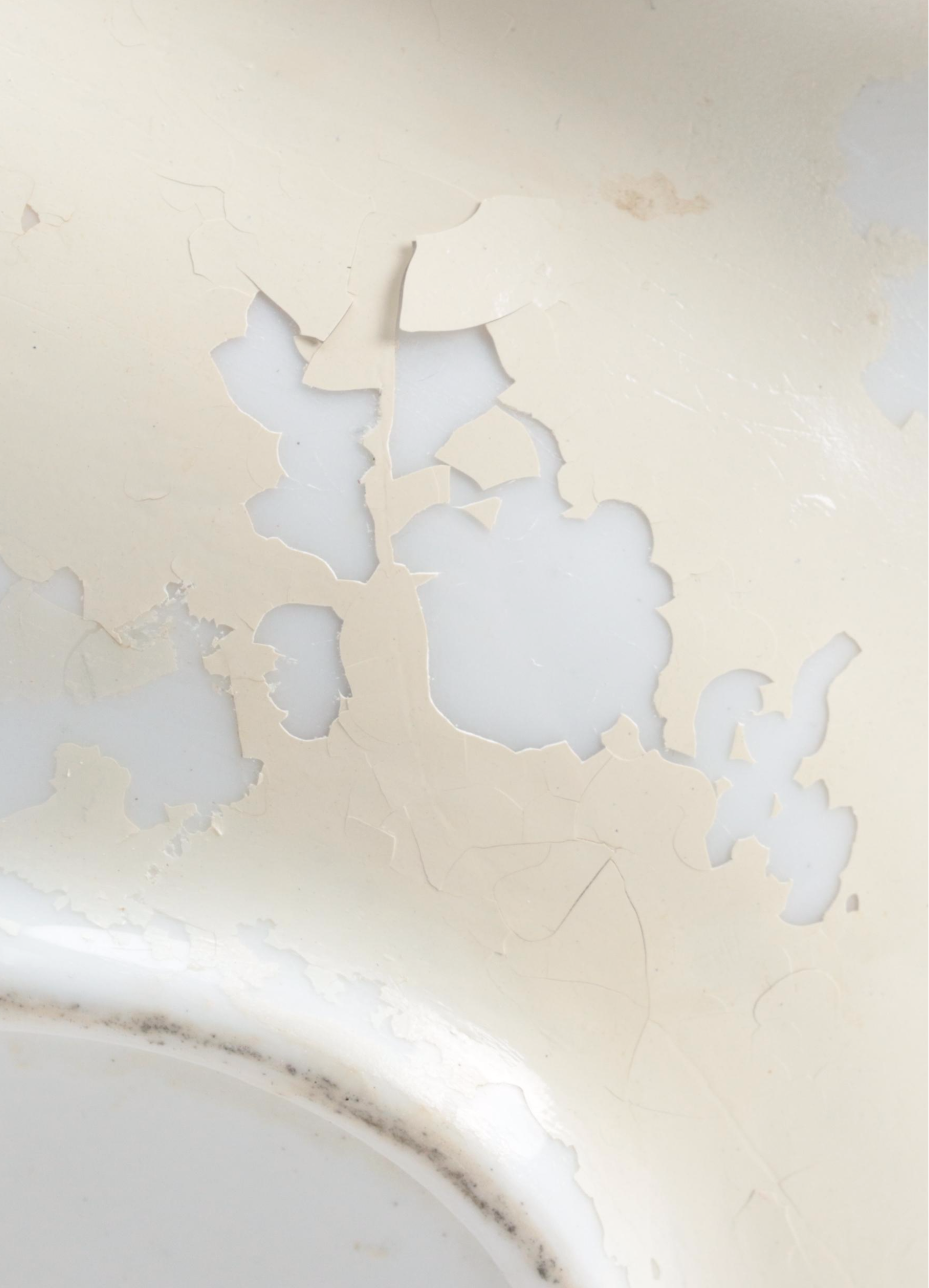 English Porcelain Hand-Painted Botanical Fruit Service