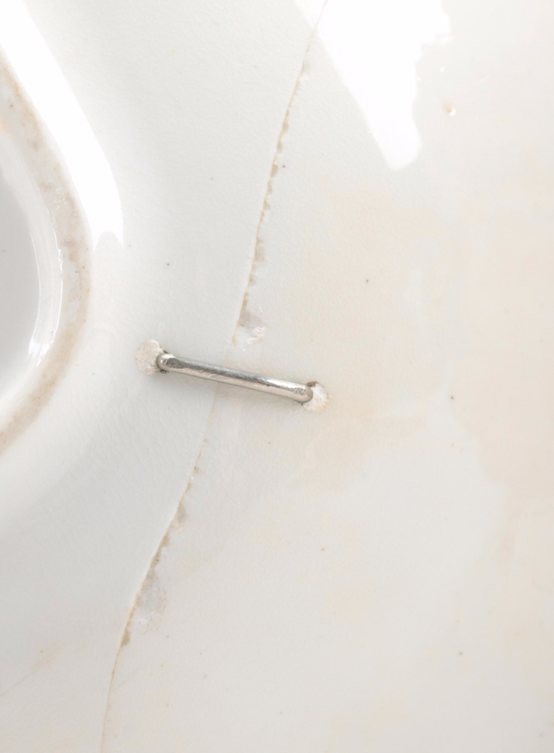 English Porcelain Hand-Painted Botanical Fruit Service