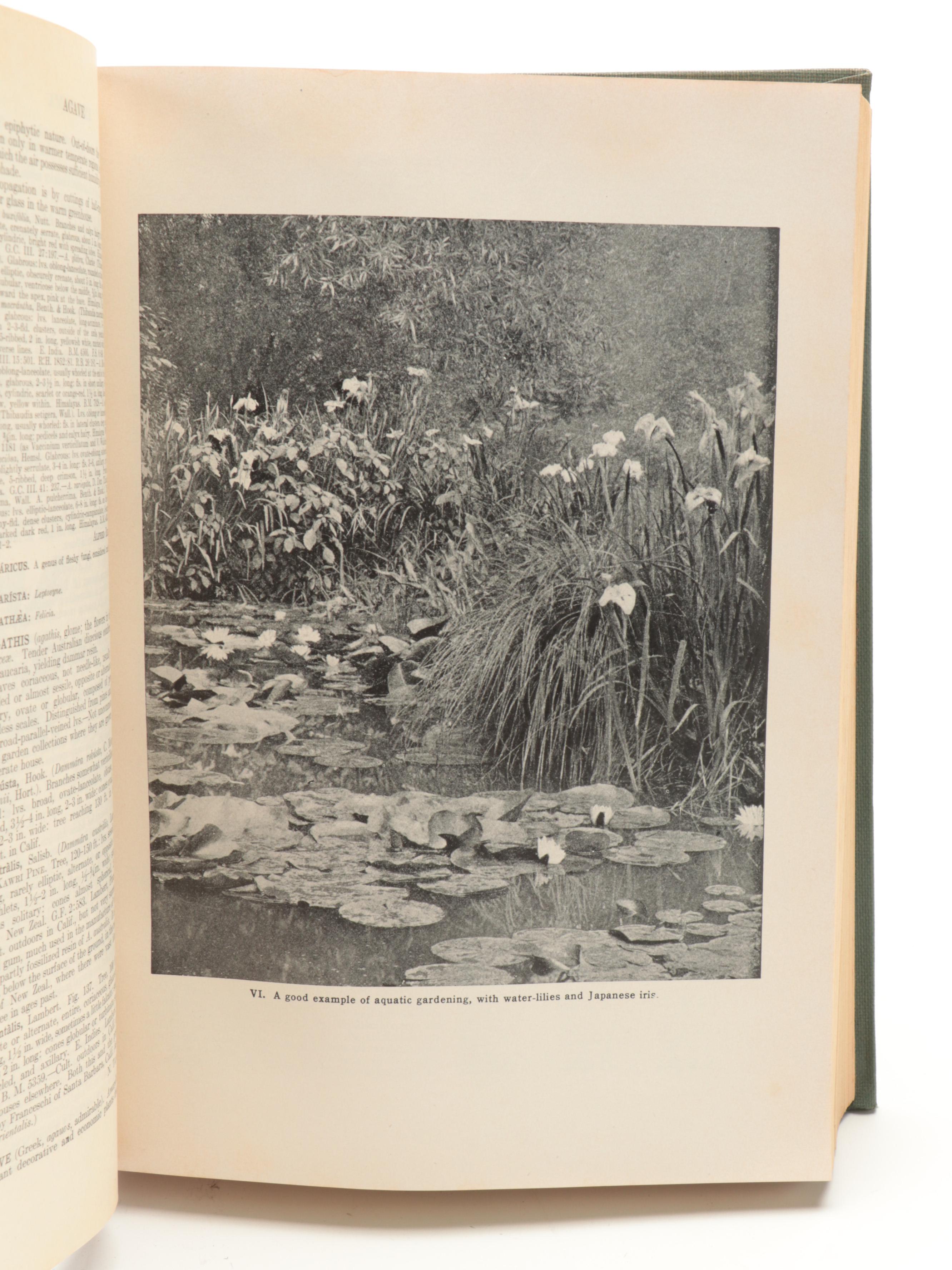 "The Standard Cyclopedia of Horticulture" Vols. I-III by L.H. Bailey