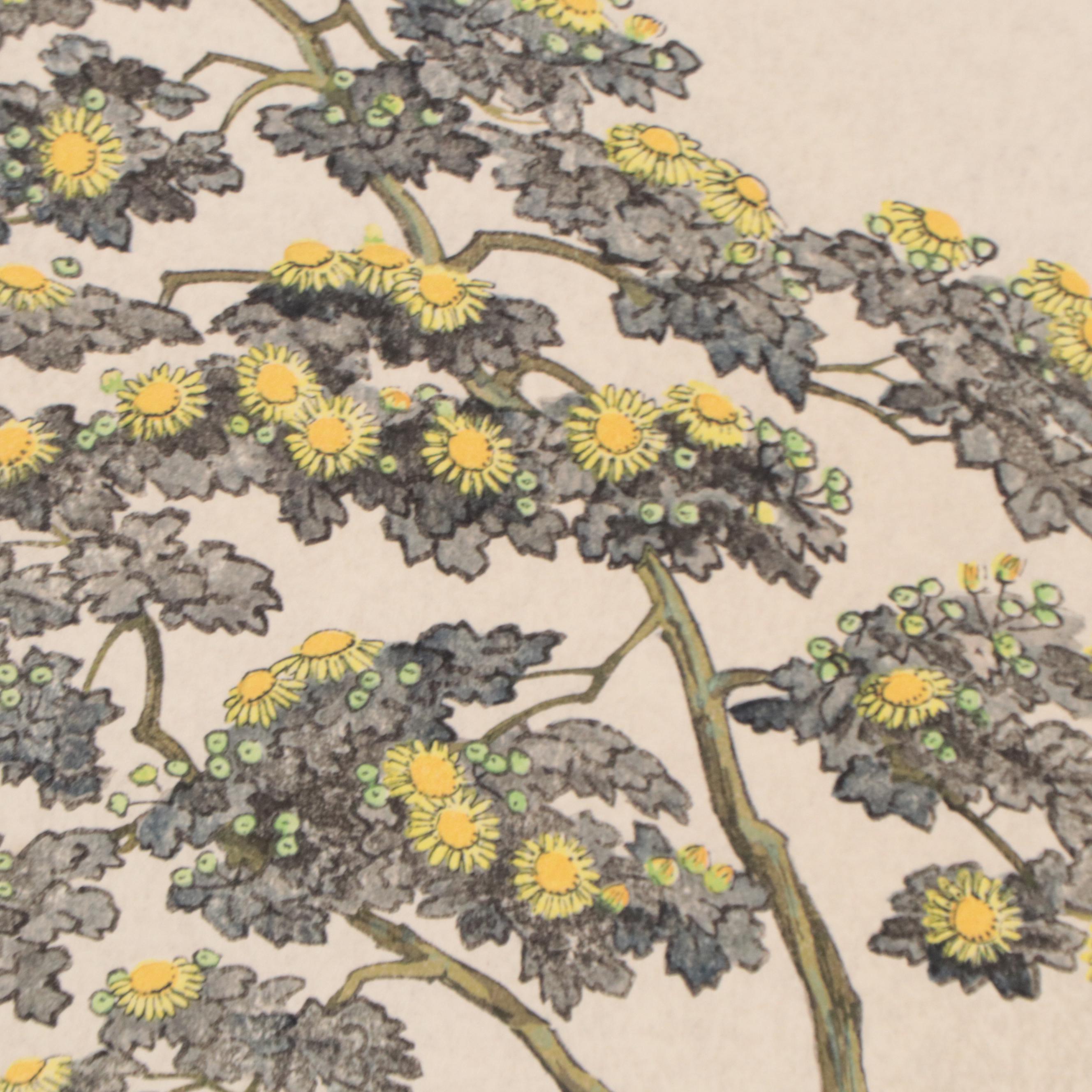 Itō Nisaburō Shin-Hanga Woodblocks "Bonsai Chrysanthemum," Circa 1960