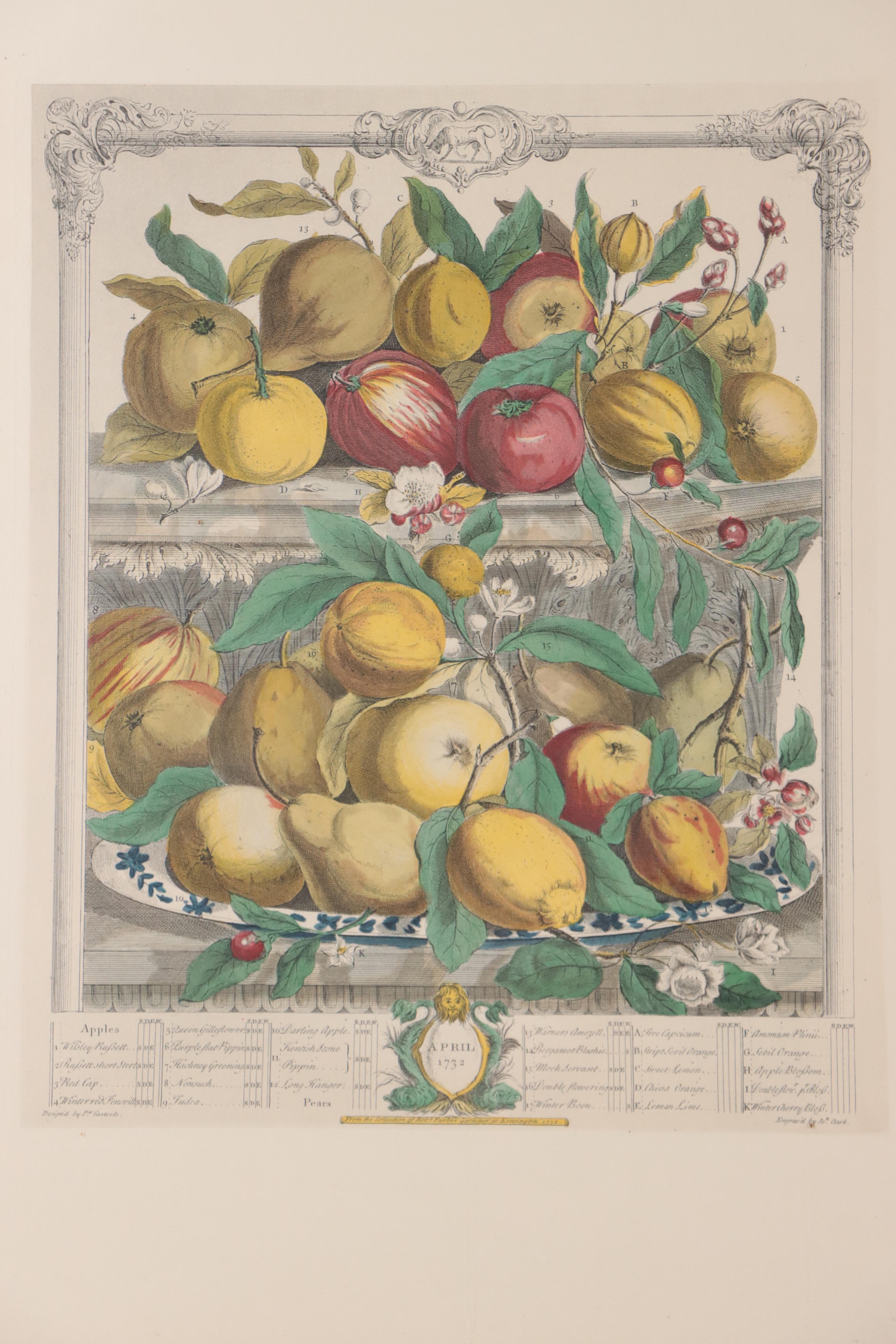 Pair of Hand-Colored Collotypes of Fruit After Pieter Casteeles