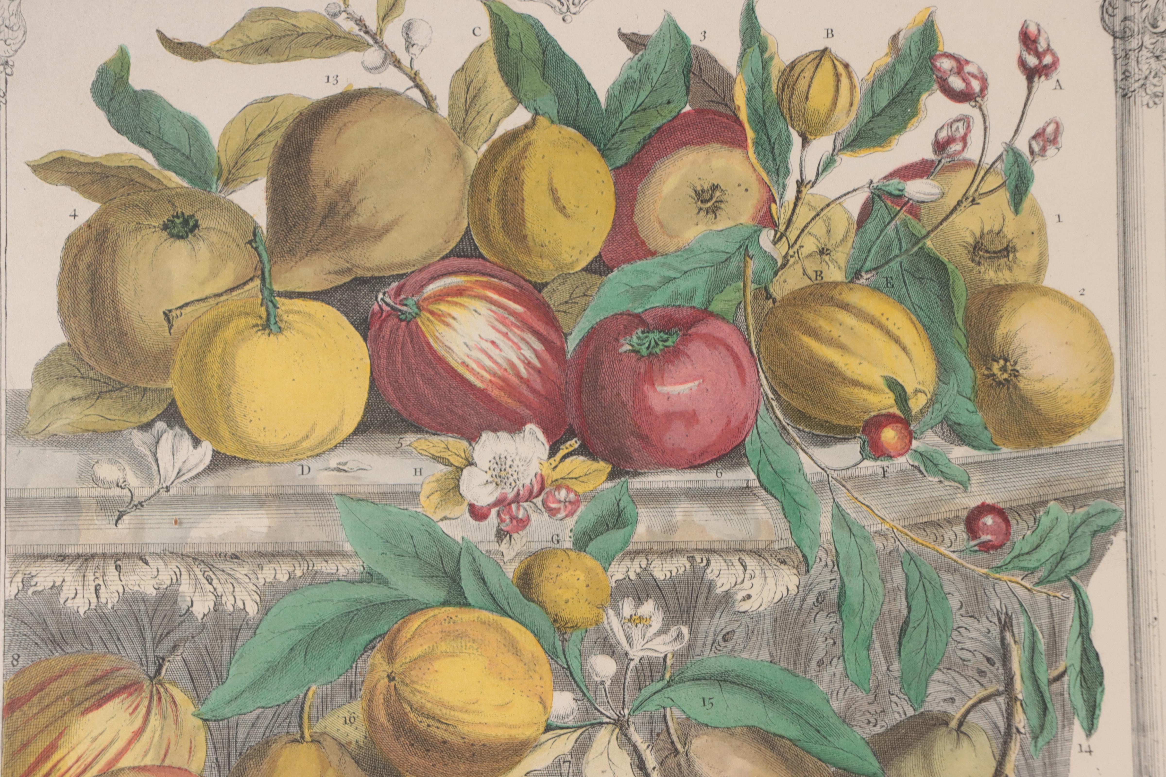 Pair of Hand-Colored Collotypes of Fruit After Pieter Casteeles